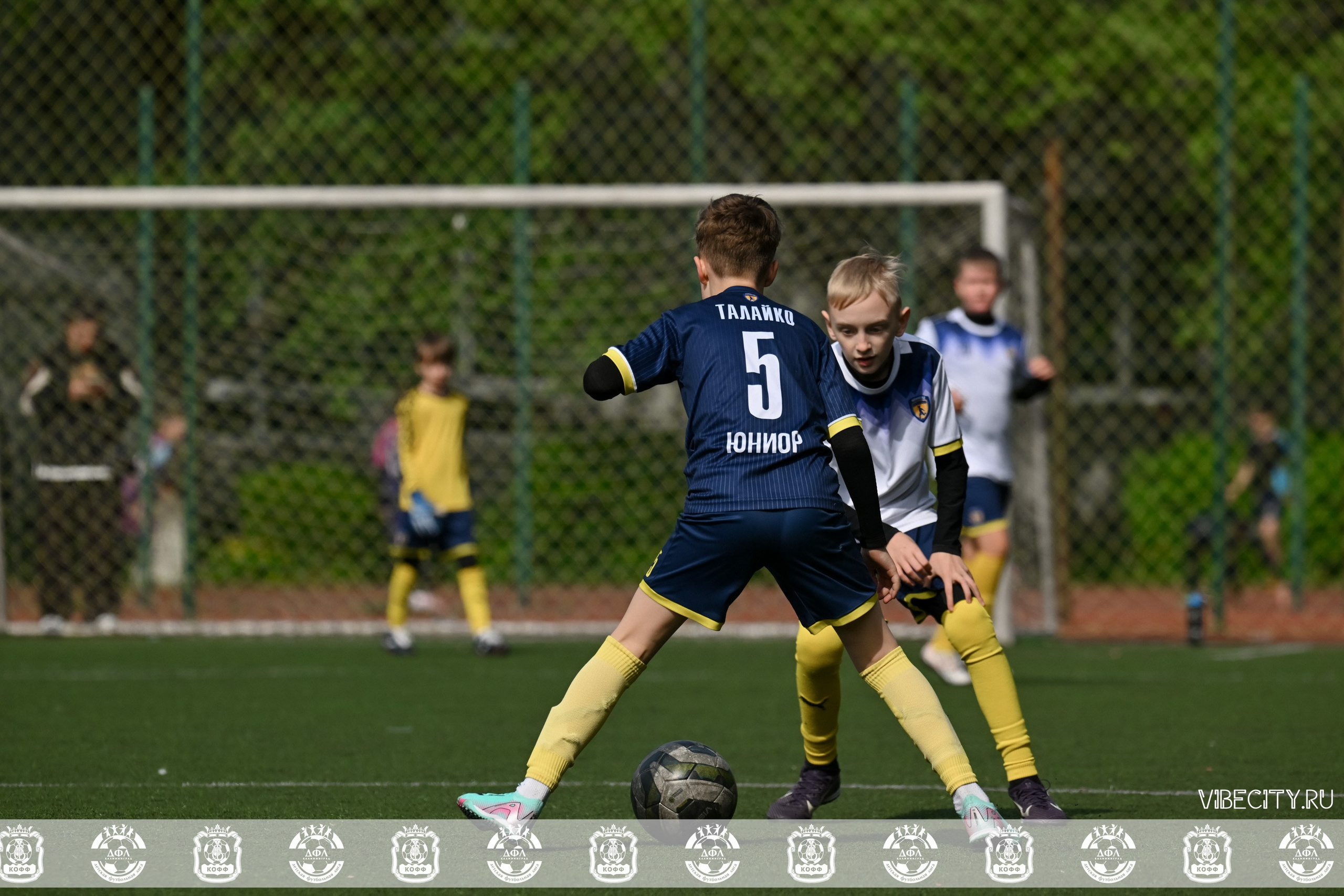 ДФЛ 17 Лицей. VIBECITY.RU Вайб Сити Ру Фоторепортажи Фотоотчеты Калининград