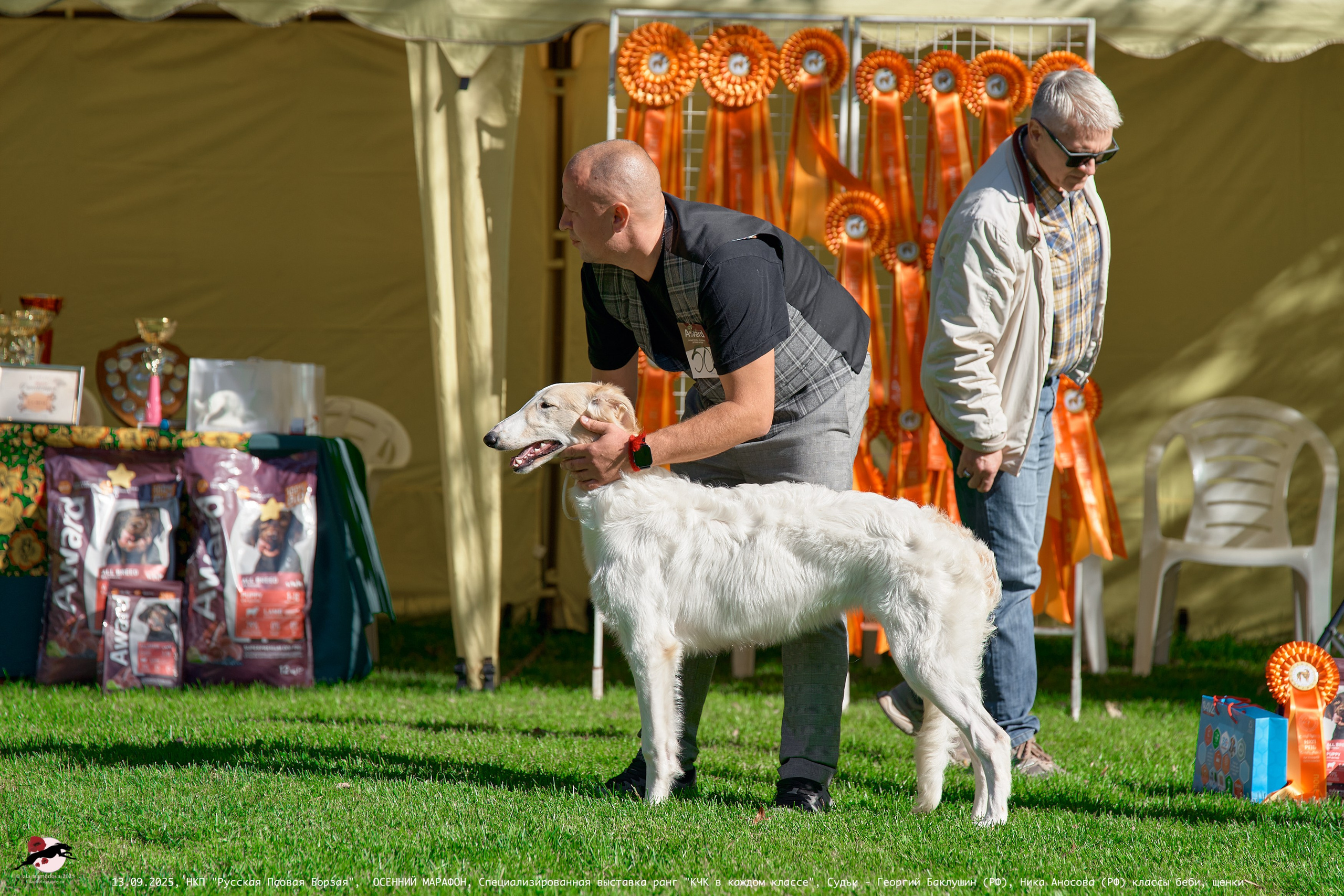 ОСЕННИЙ МАРАФОН | Специализированная выставка породы Русская Псовая Борзая ранг "КЧК в каждом классе"