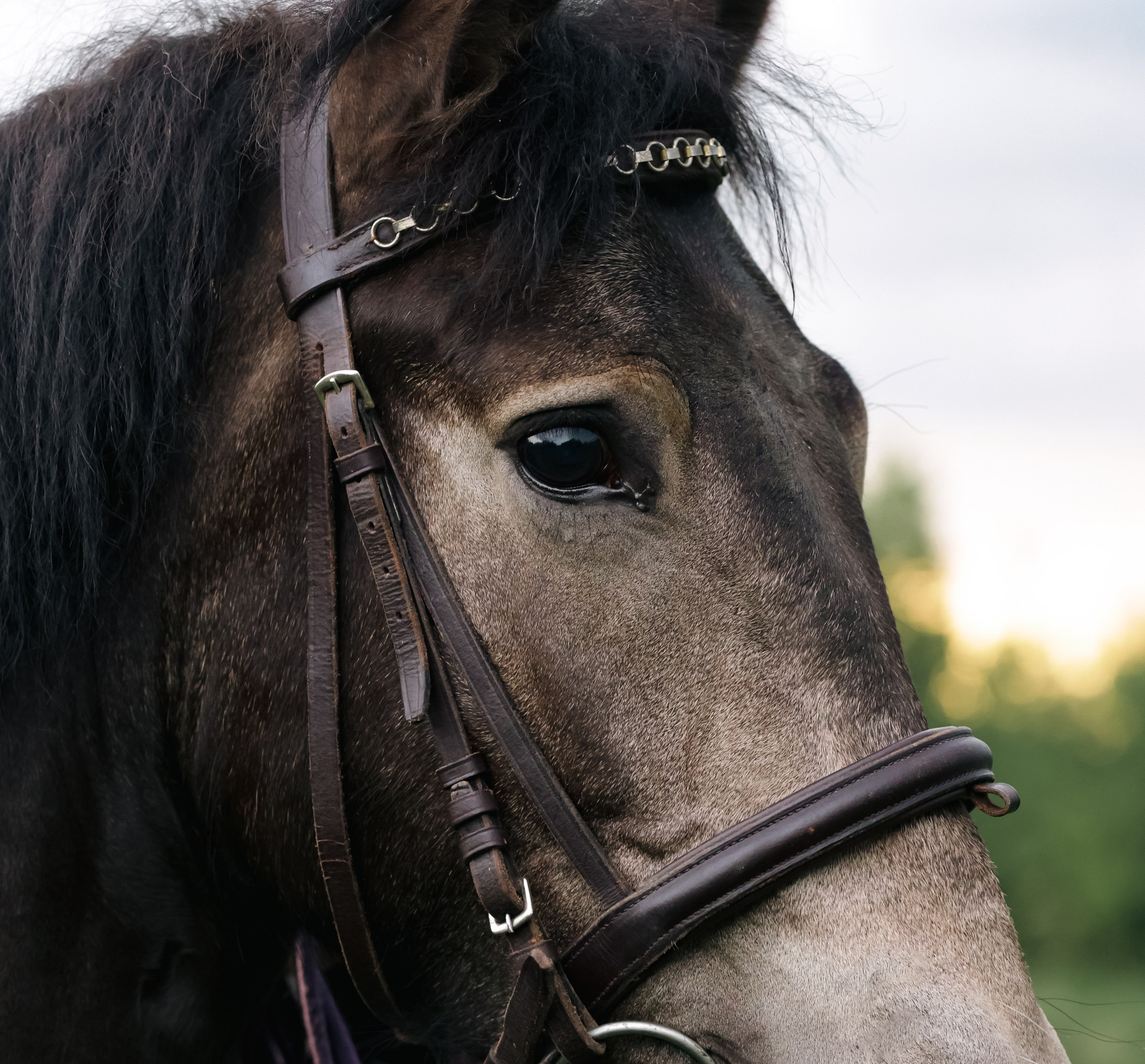 Туман. Фотограф Варвара Ермоленко
