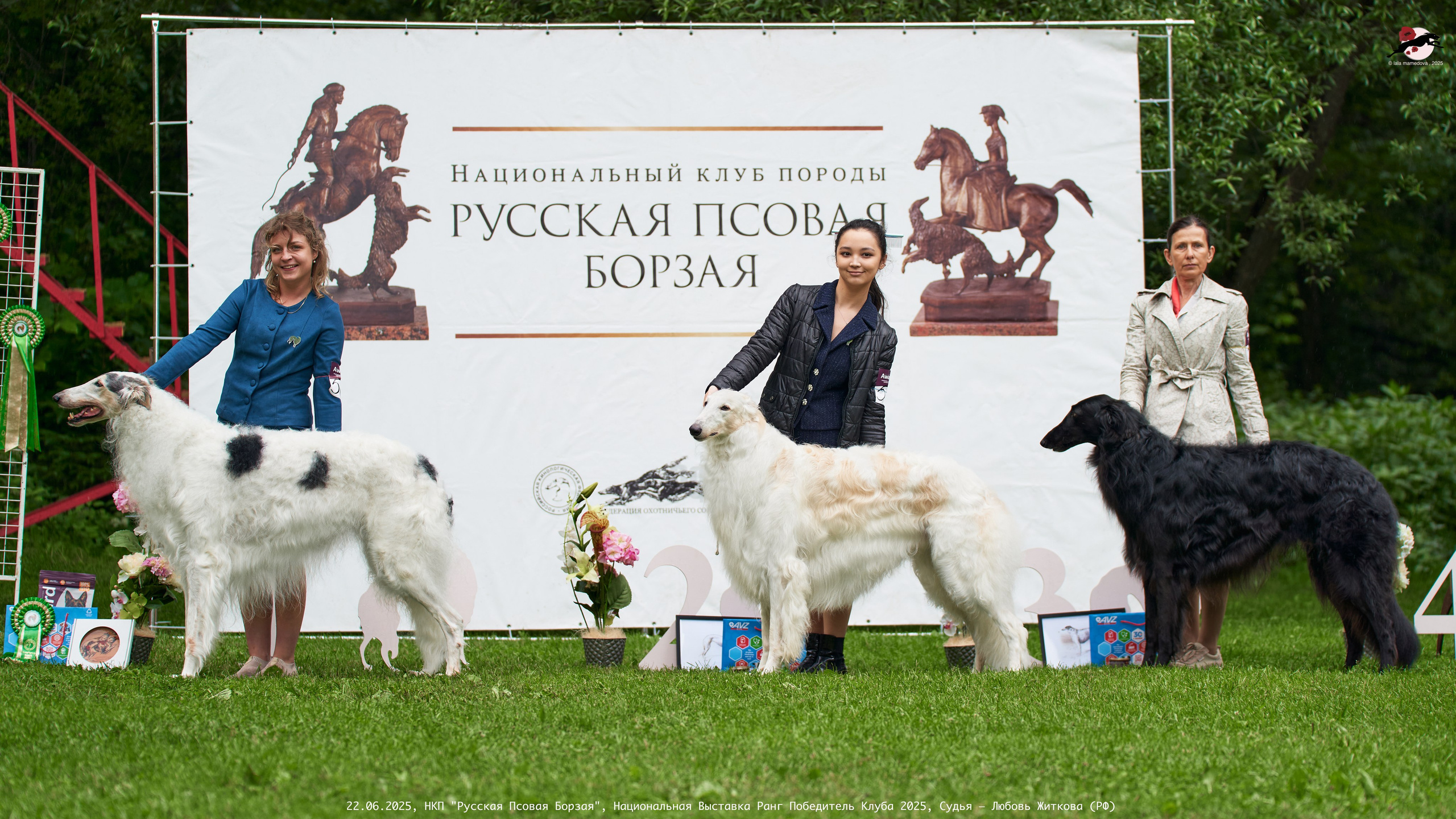 22.06.2025 | Национальная Выставка НКП "Русская Псовая Борзая"