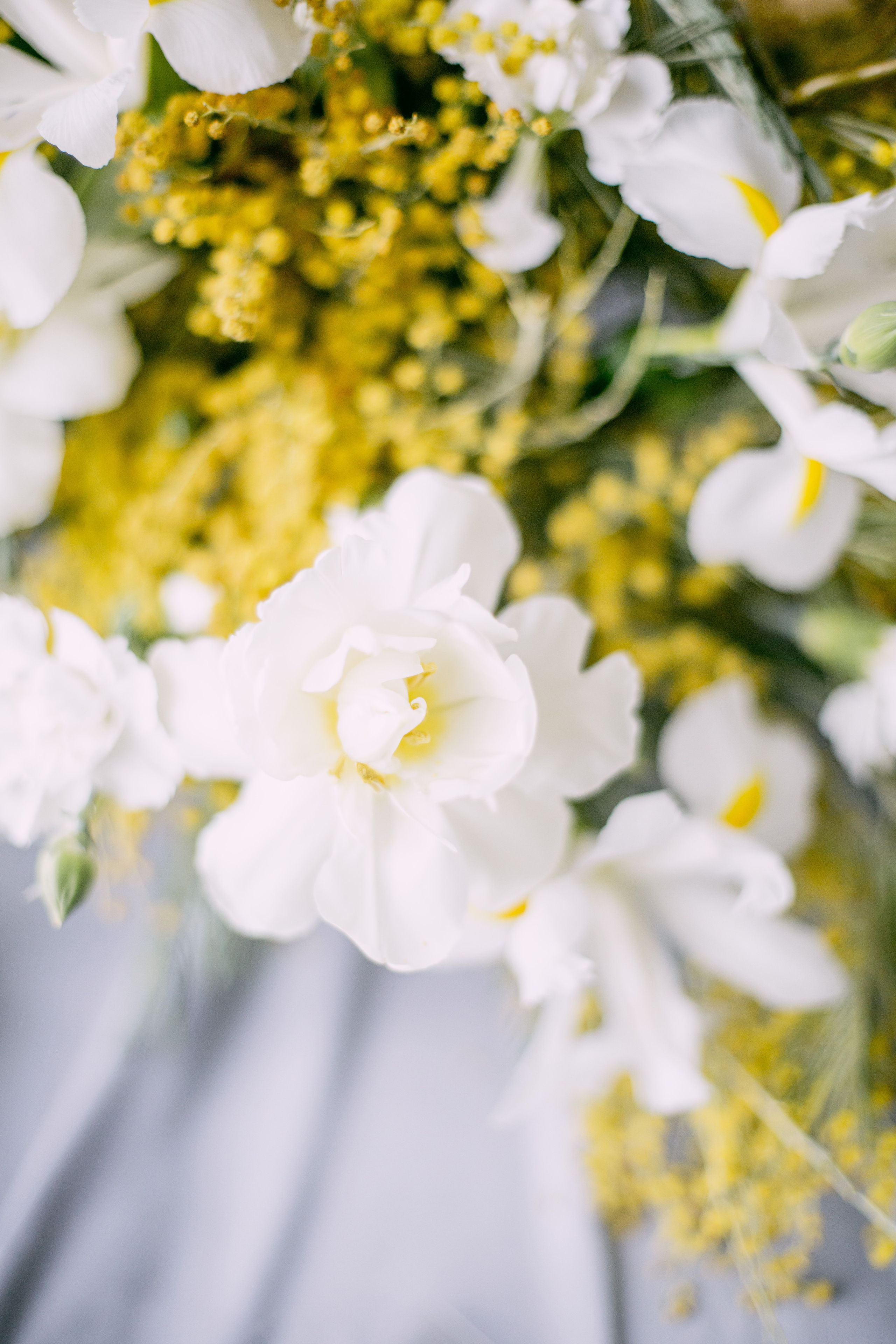 Весенний лофт. Свадебный фотограф Краснодар