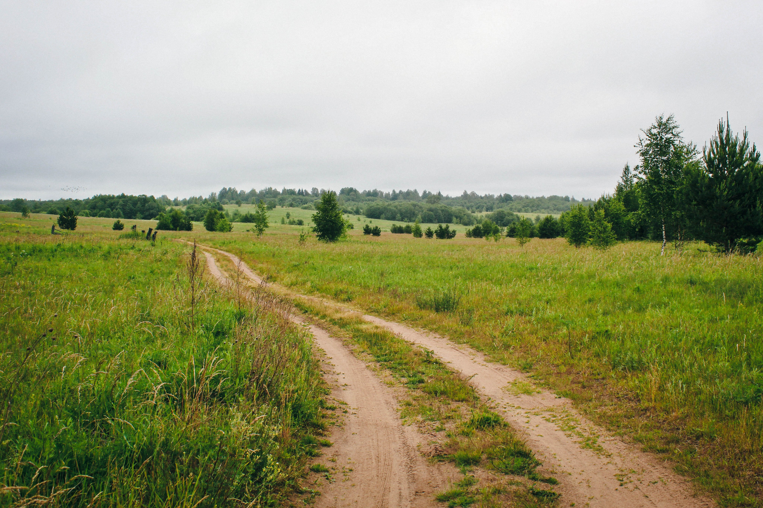 Дер. Климово, пос. Мирный. Фотограф Ксения Монахова