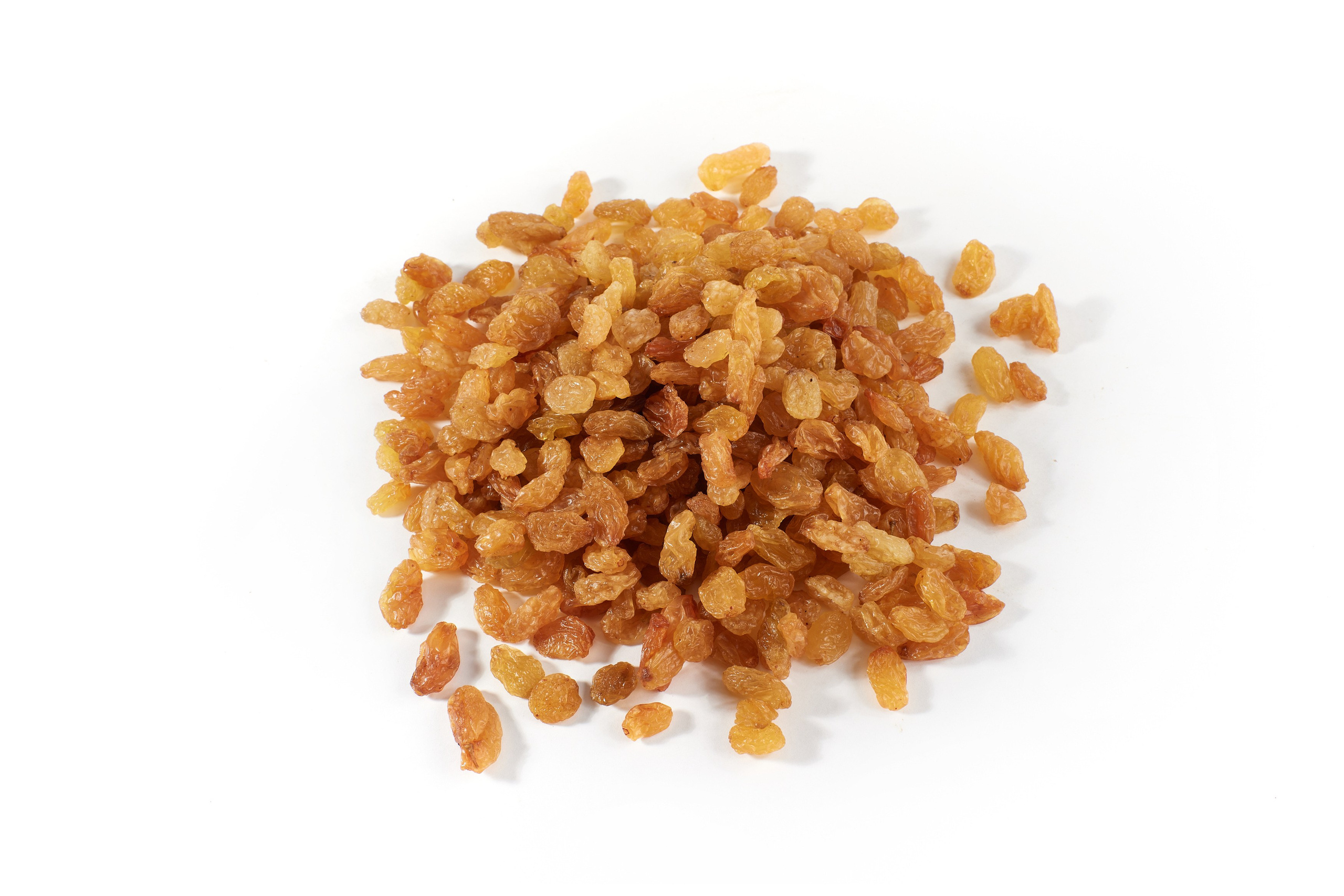 Nut4Life. Фотограф Сергей Бойко Москва