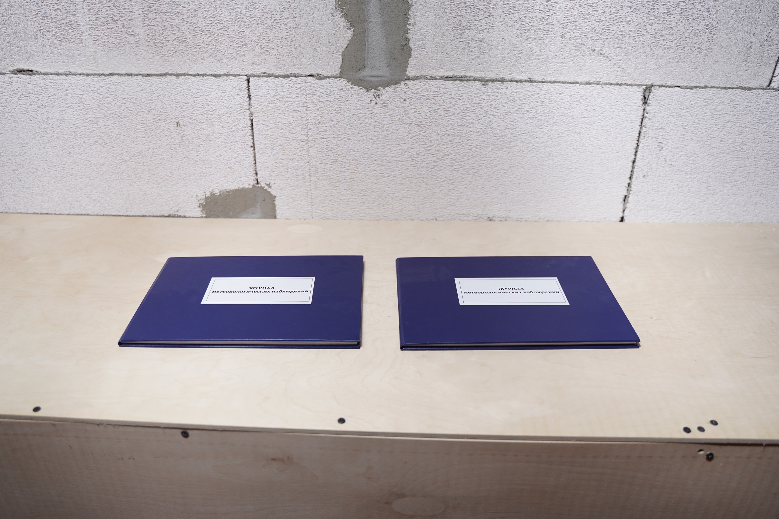 Полуденное, групповая выставка, 26.09-10.10, пространство «Союз», Тула. Лера Круглова