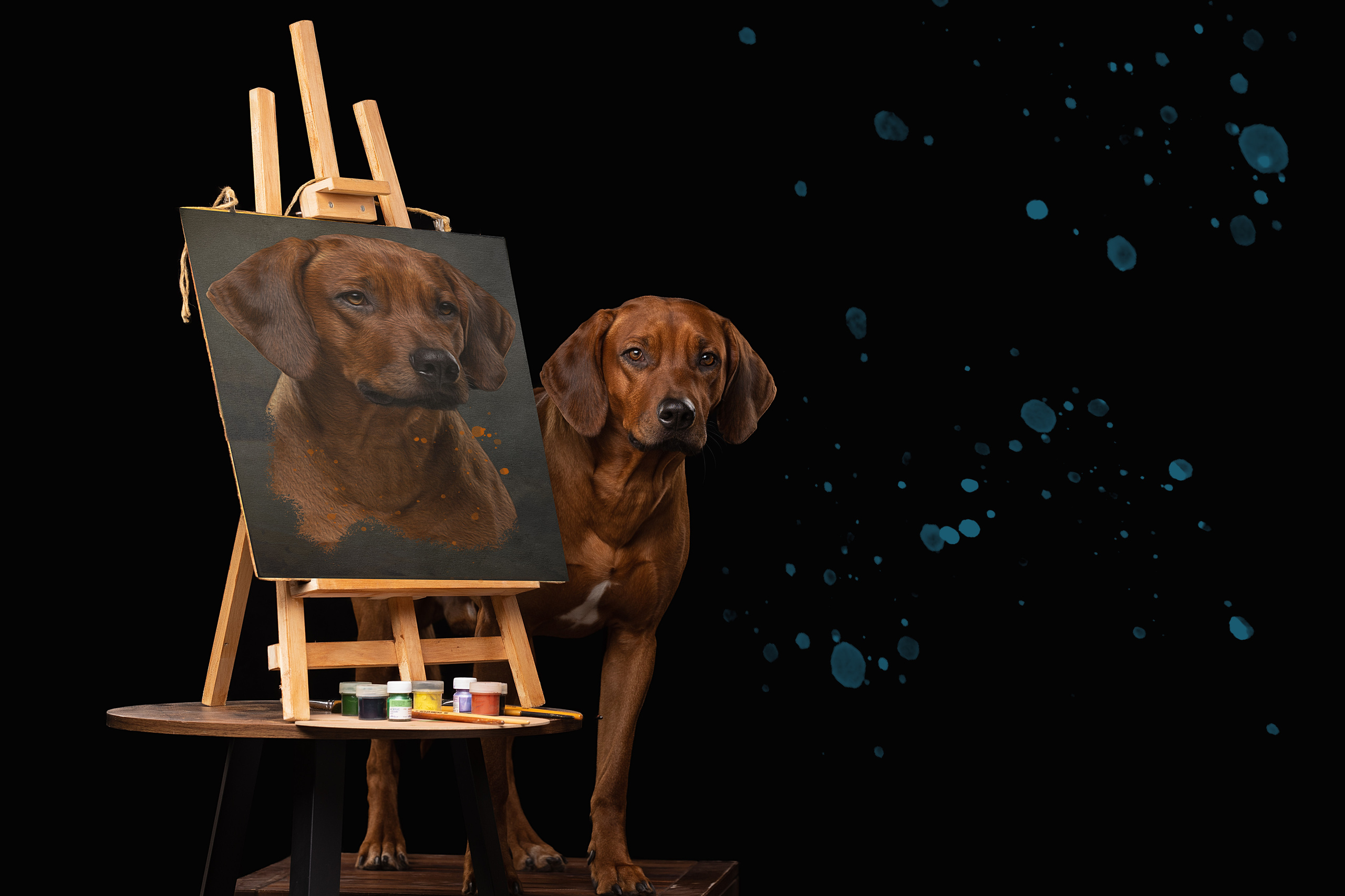 Фотограф анималист в Санкт-Петербурге Светлана Писарева