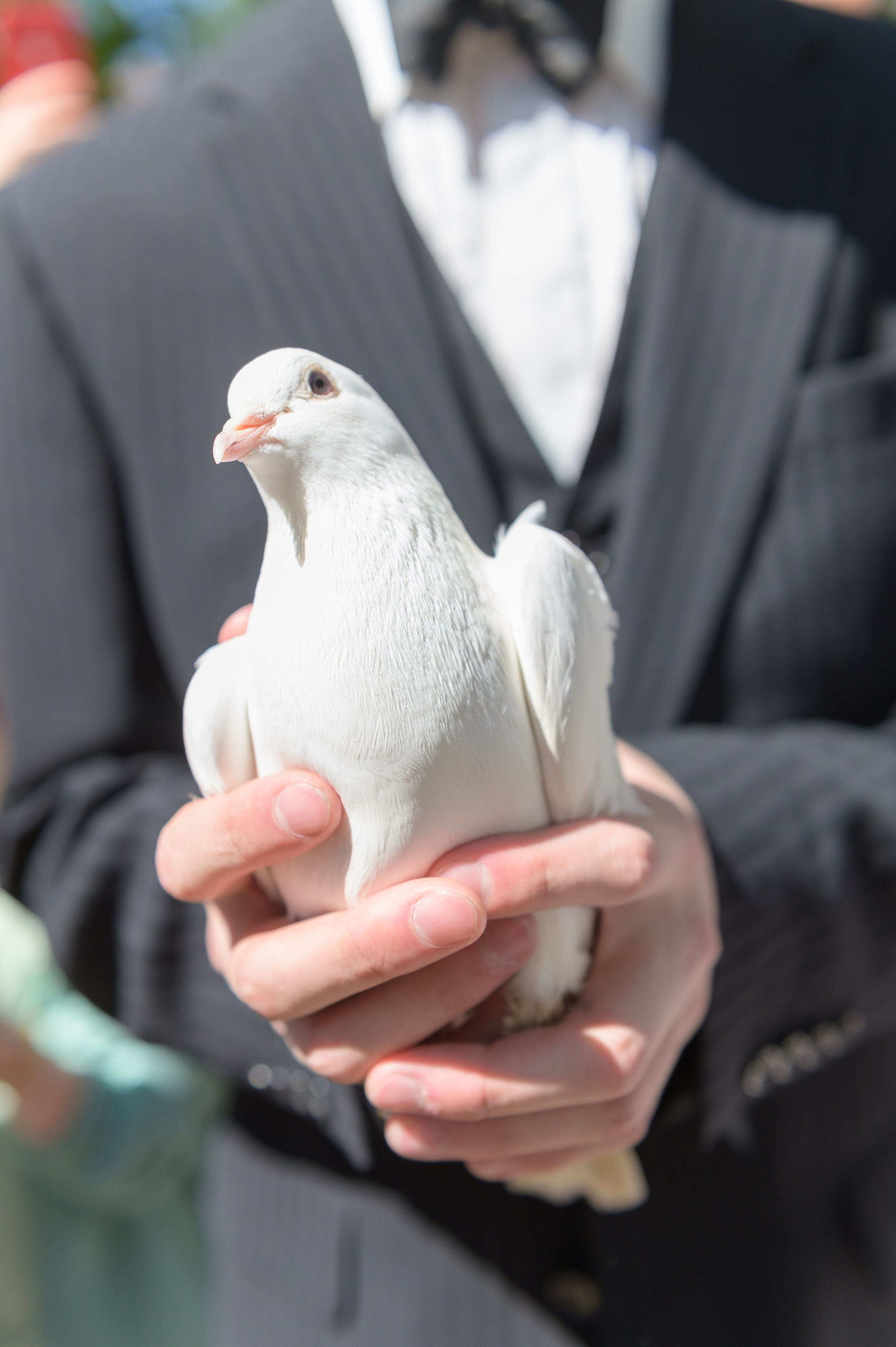 Фотосъемка школьного выпускного