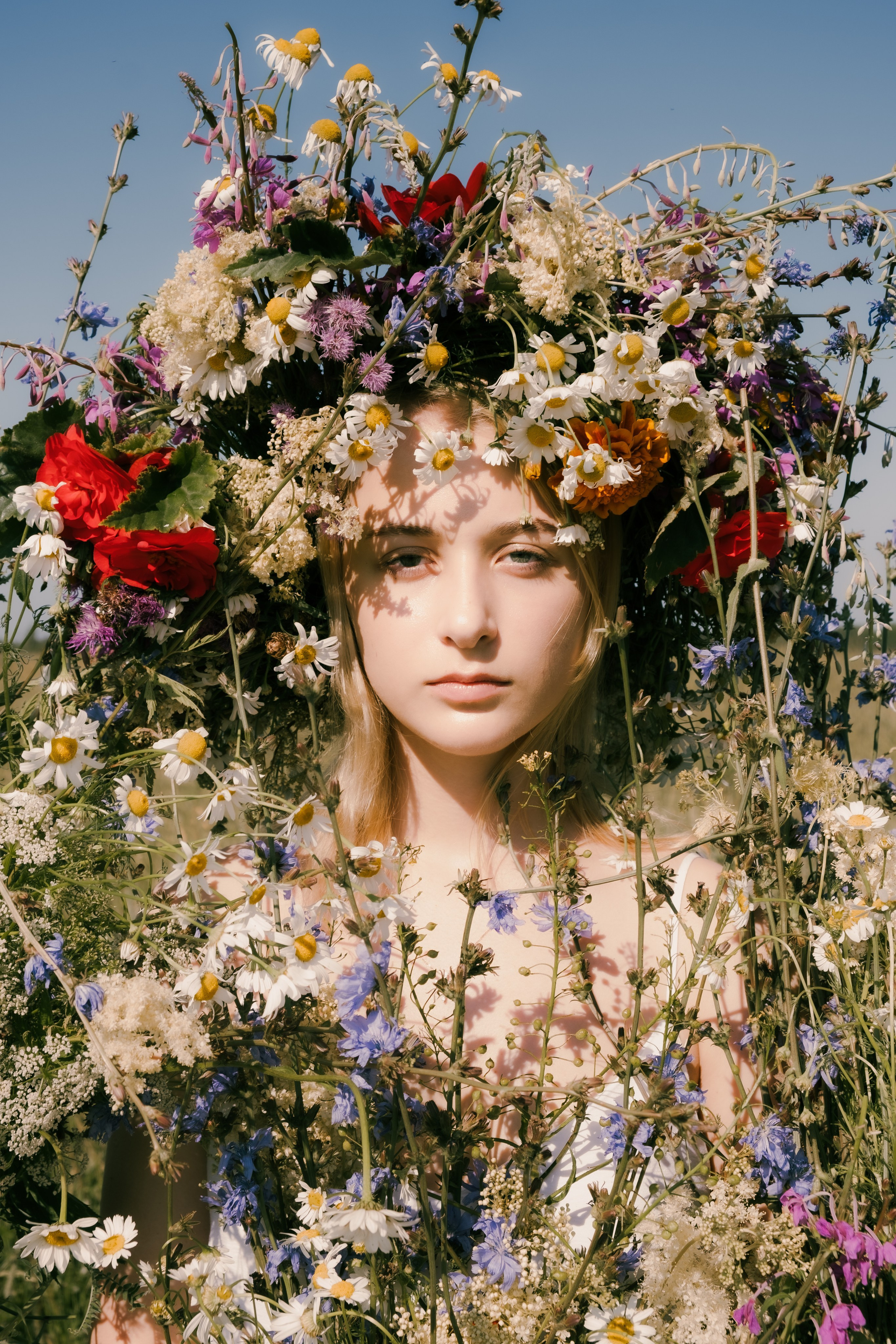 Сертификаты. Портретный и fashion-фотограф в Санкт-Петербурге Олеся Поле