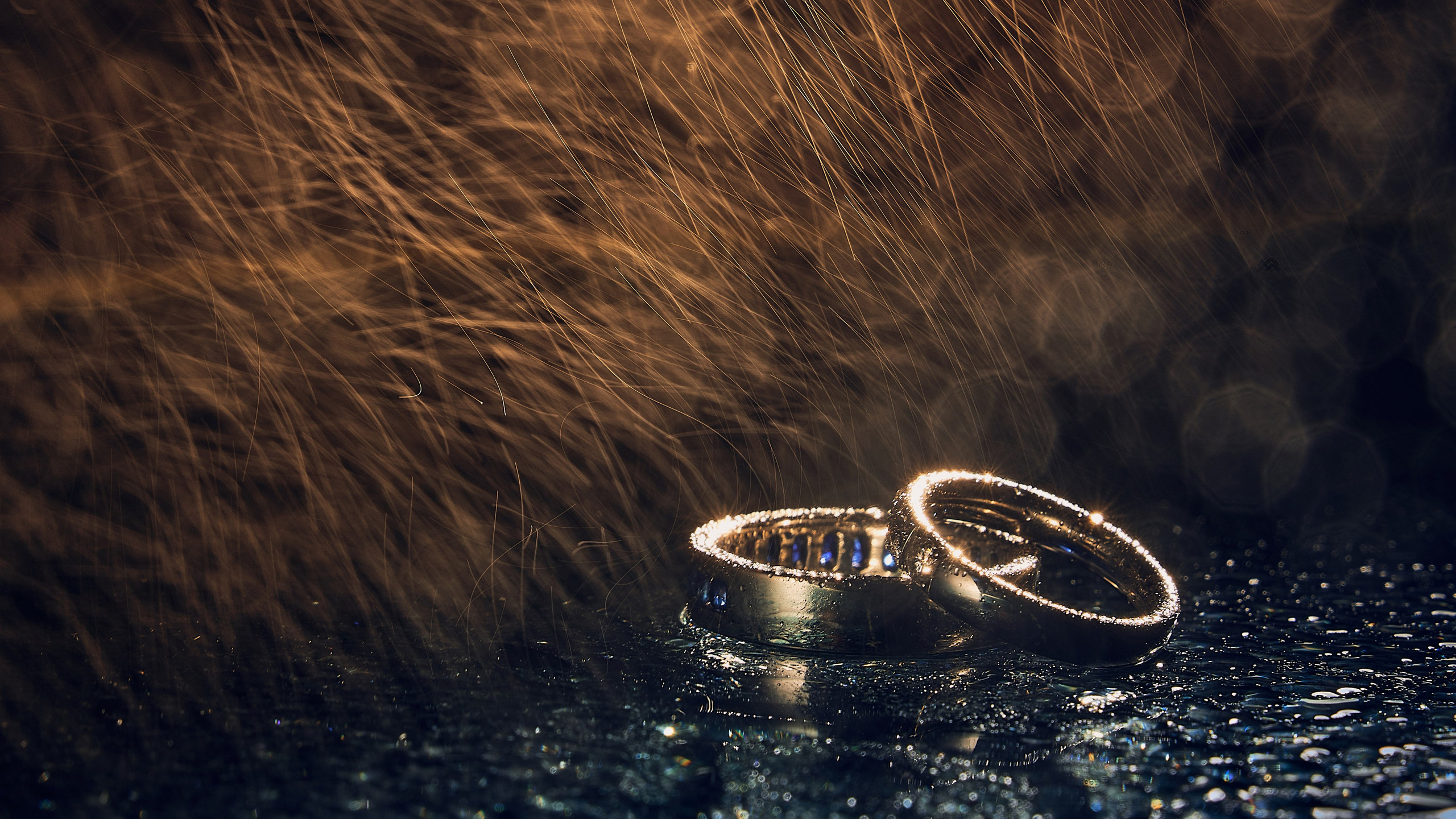 Свадебная Фотосессия в Лесной берег