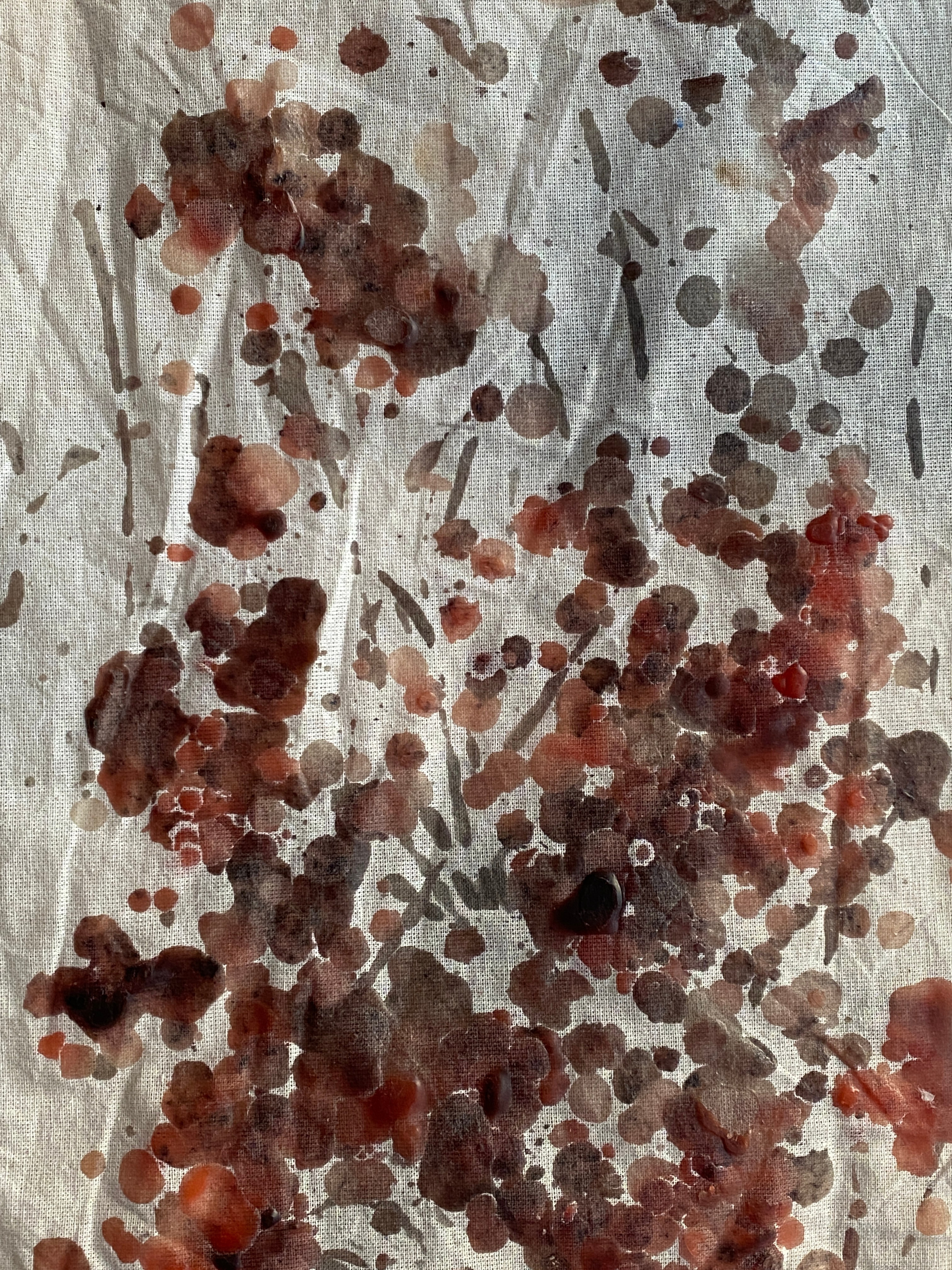 Parazit Group. Khorevali Лиза Хорева