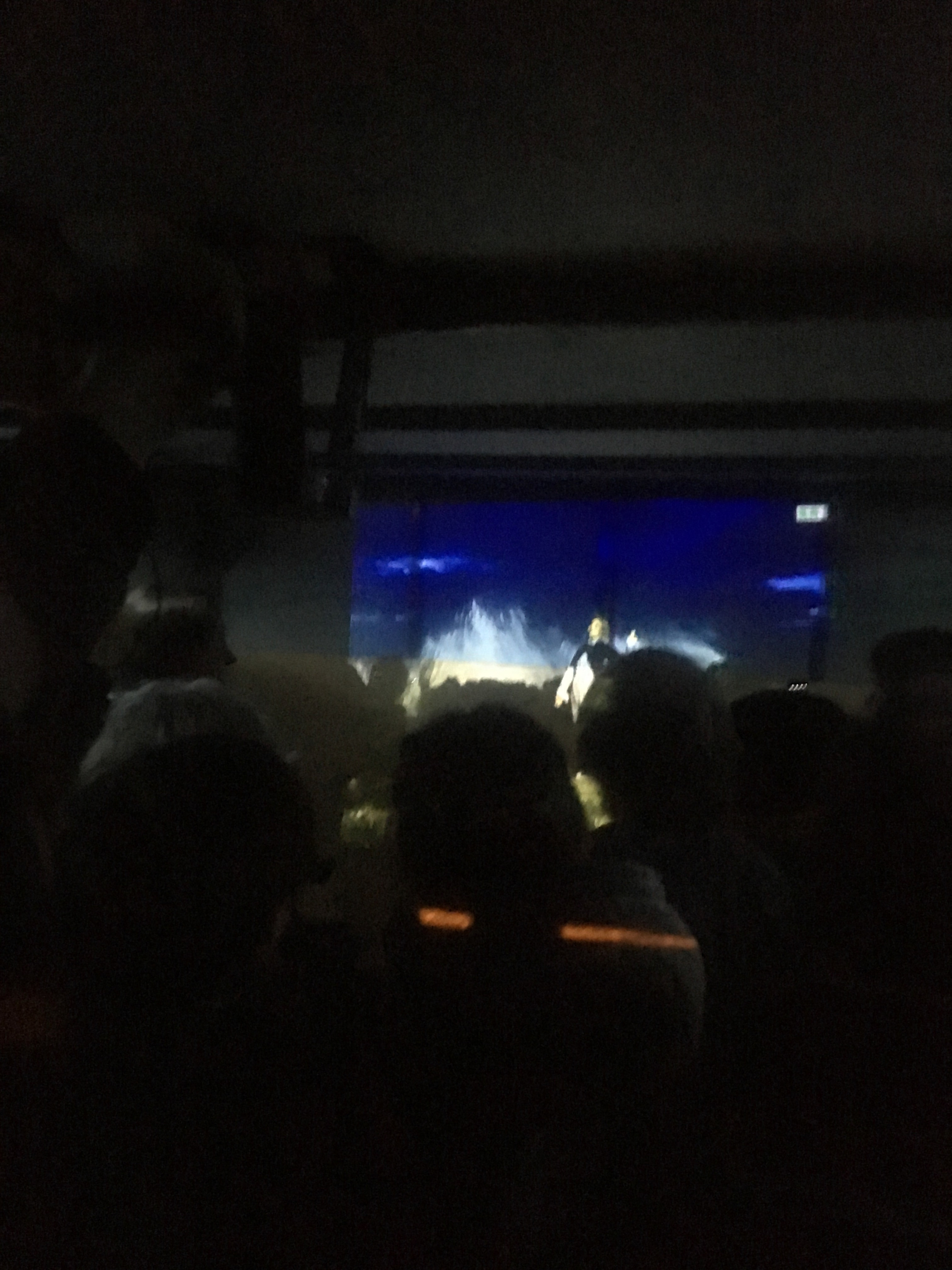 Agile gallery: Unincluded. Katerina Sokolovskaya