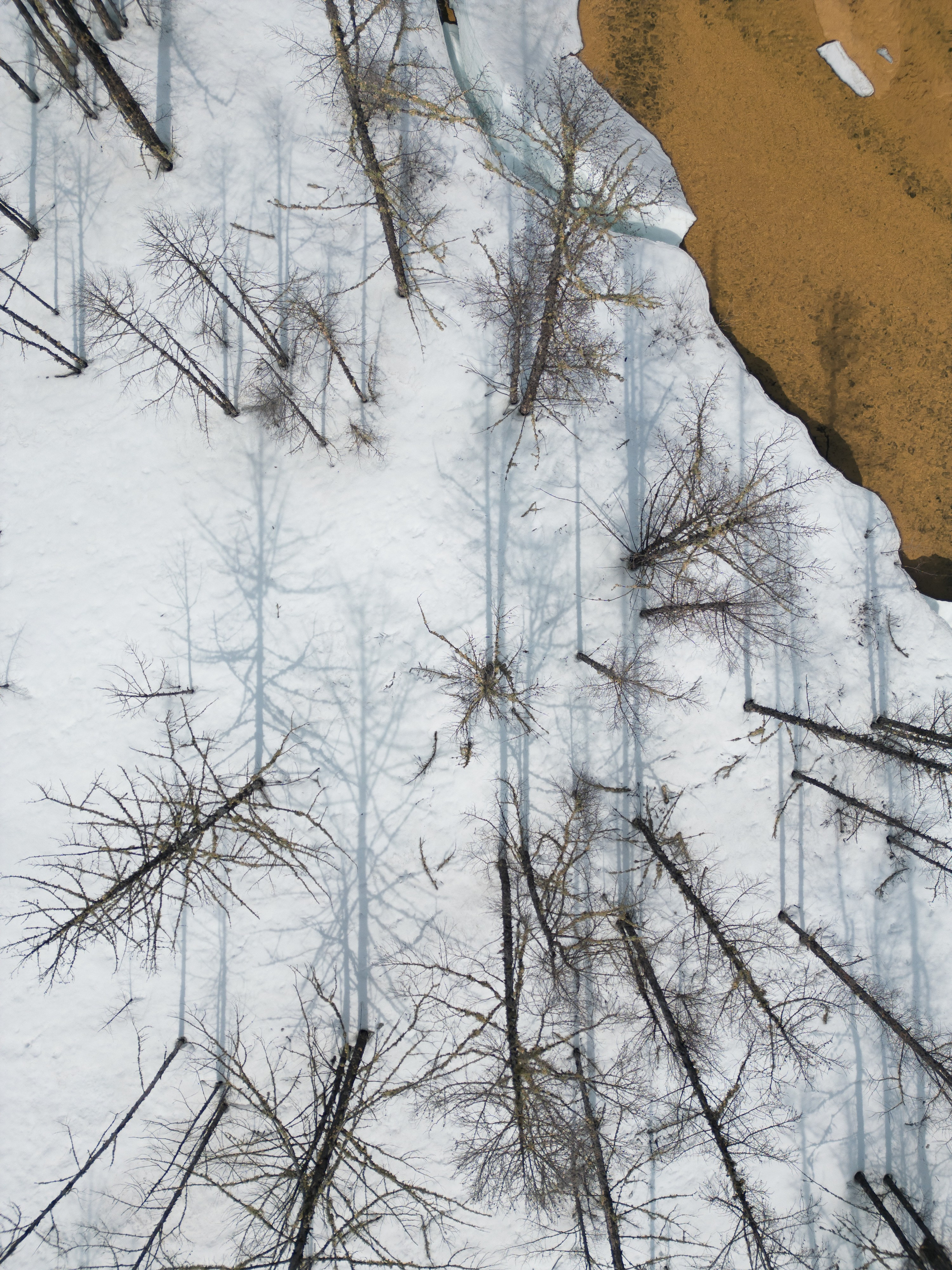 Чарские пески и Кодар