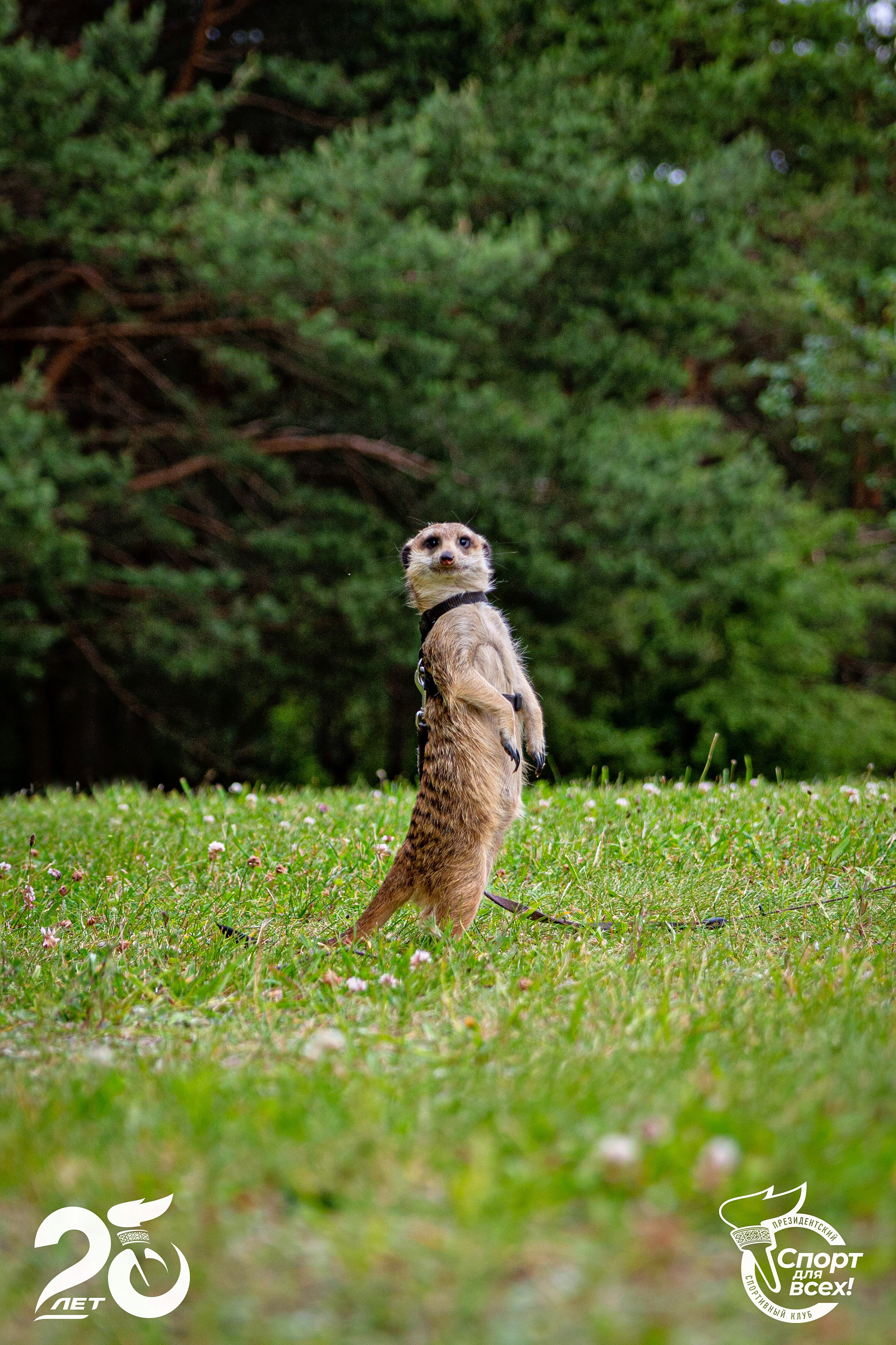 Спорт для всех. Репортажный фотограф Глеб Лысковец