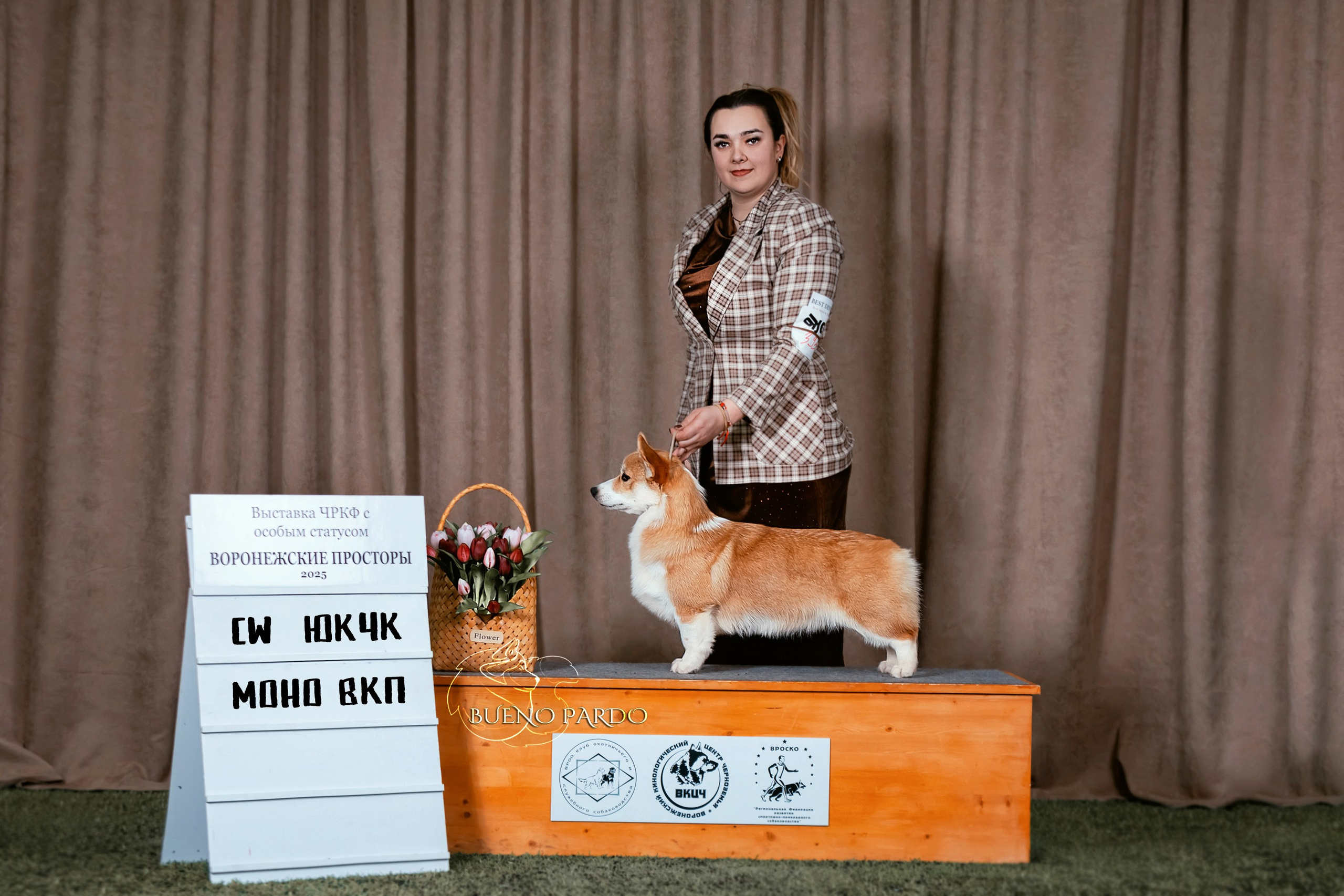 Собаки питомника Bueno Pardo. Питомник собак Акита, Хаски, Корги