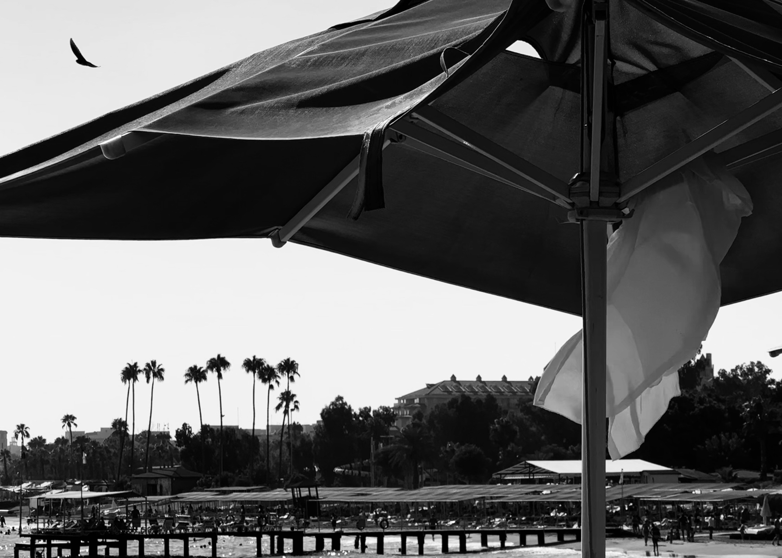 Черно-белая жара. Колесникова Мария Арт-фотограф