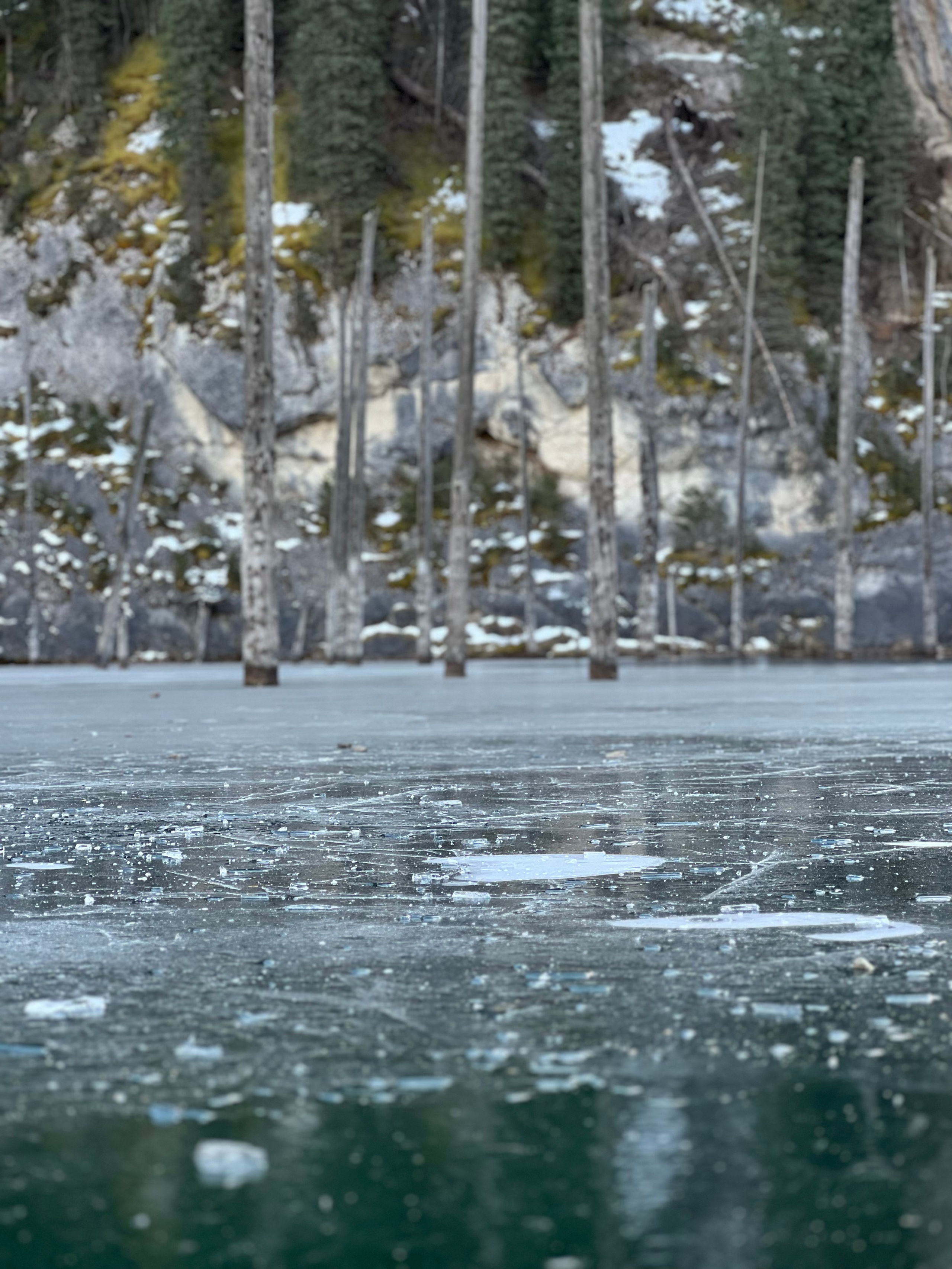 Замёрзшая поверхность озера Каинды крупным планом с видимыми трещинами, пузырьками и кусочками льда. На заднем плане вертикально торчат стволы деревьев, погружённых в воду, окружённых заснеженными склонами и густыми хвойными лесами. Картина передаёт атмосферу холодного зимнего дня.