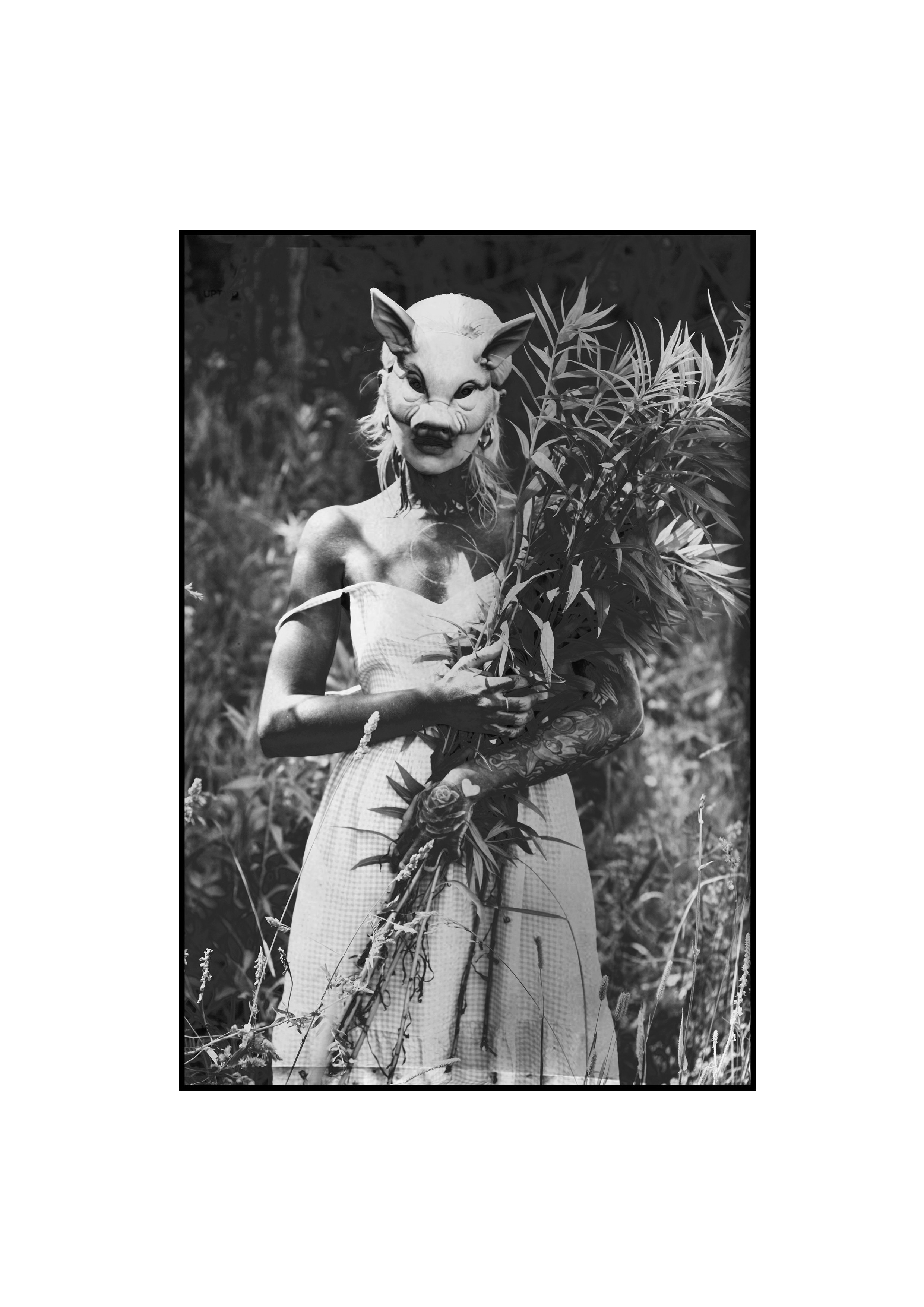 Фотоальбом «Черновик». Ваня. Пленка. Тула