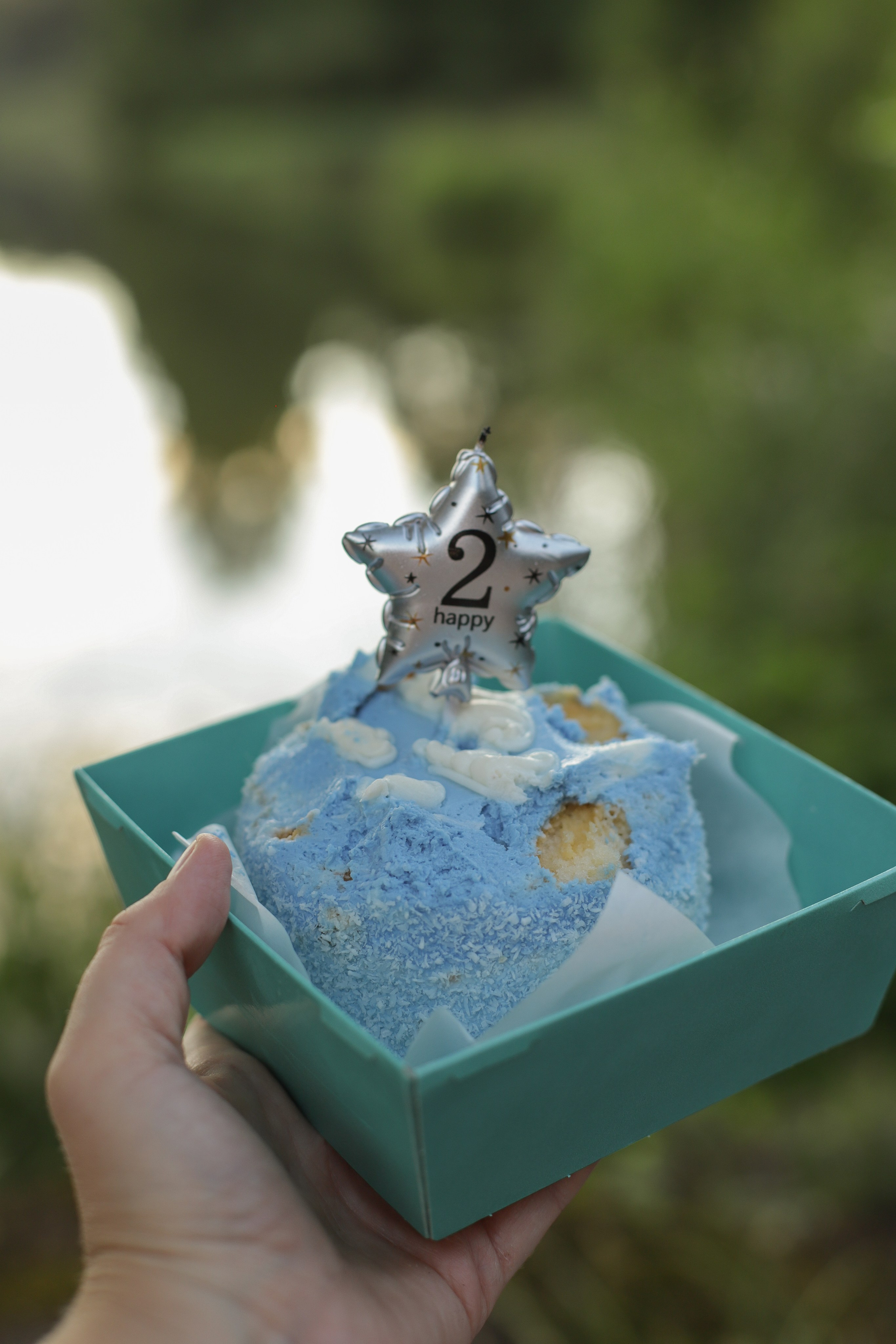 День рождение на природе Варя. Диана Николаева — фотограф город Балашиха