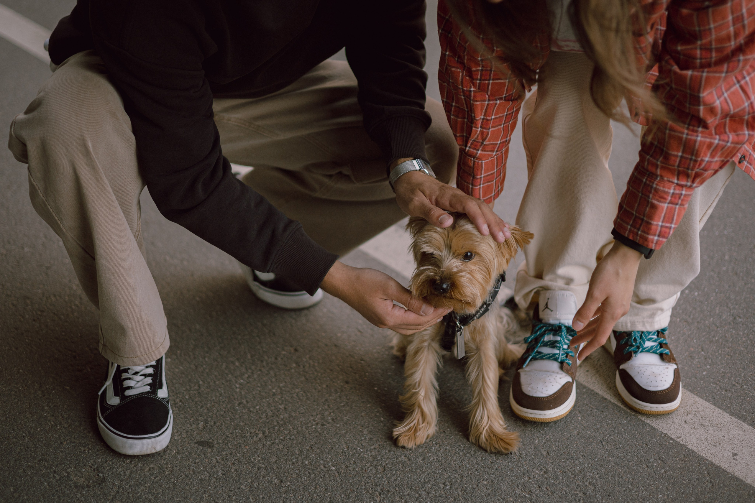 Андрей, Аня и Персик. Фотограф — анималист •love-story•|Санкт-Петербург