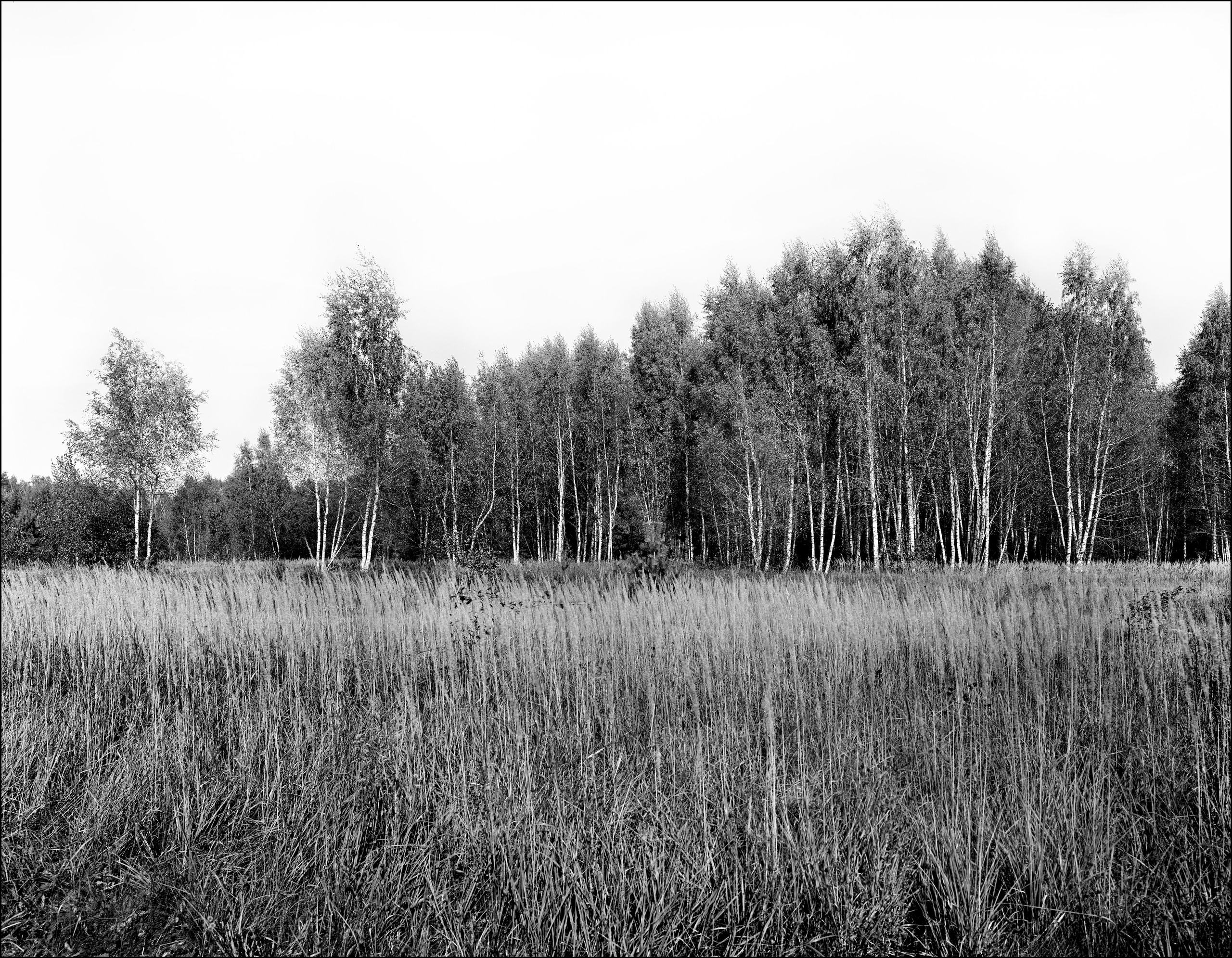Landscape. Sergey Kondriuk art-photographer | artist