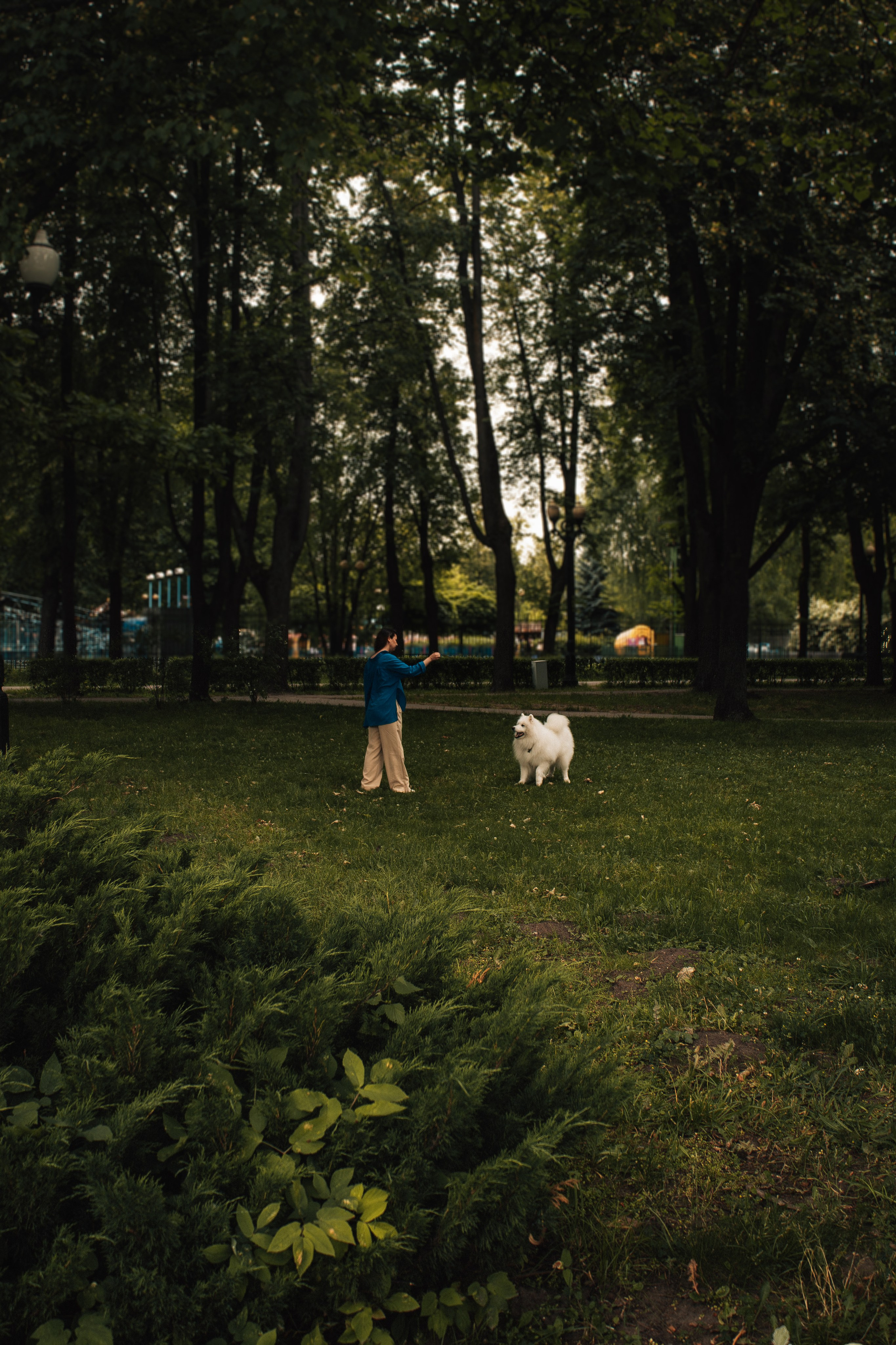Фотосъемка на природе: девушка и ее собака