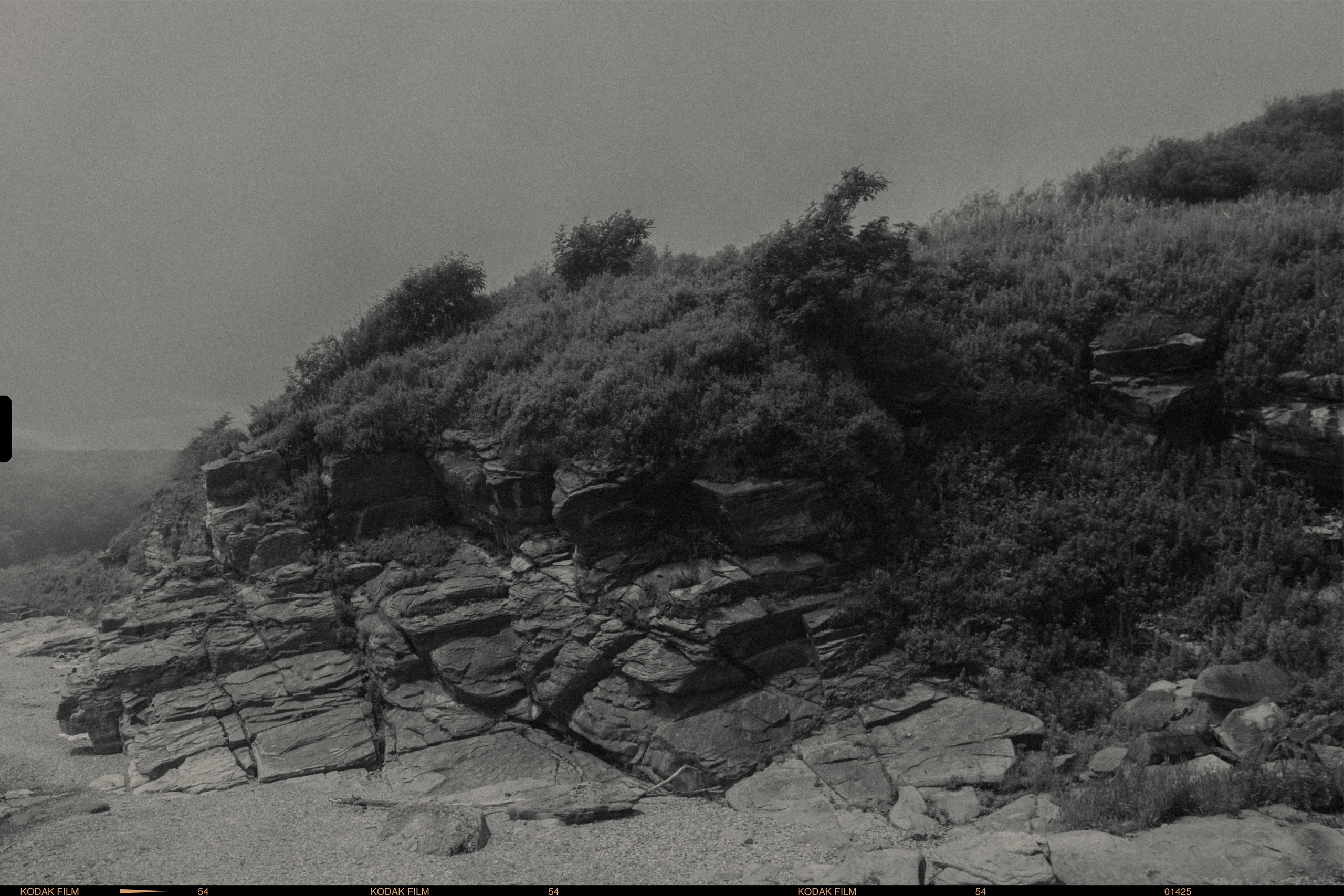 Шамора фото владивосток фотография черно белая природа