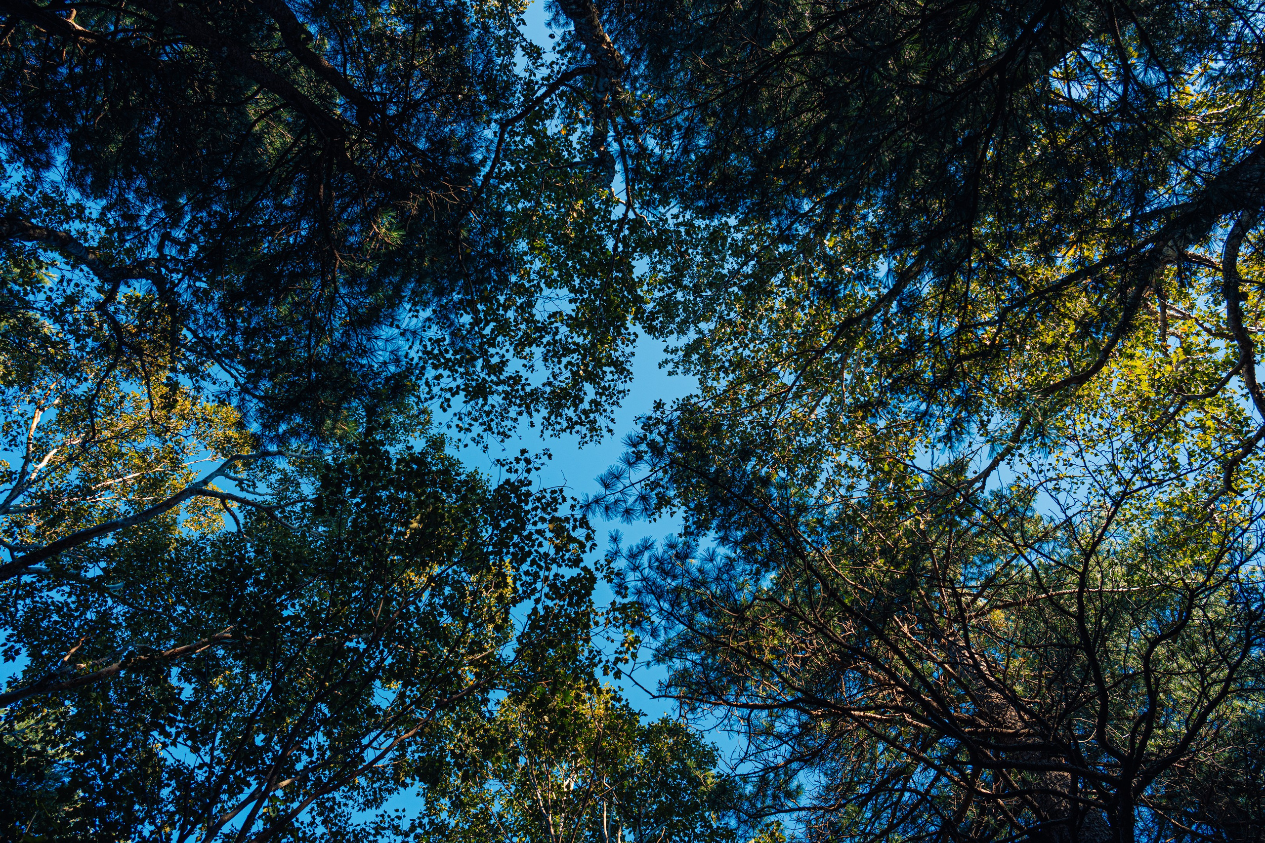 Гора Литовка (Фалаза). Иван Зайцев (IZIART) — создание культурного кода через фото и видео