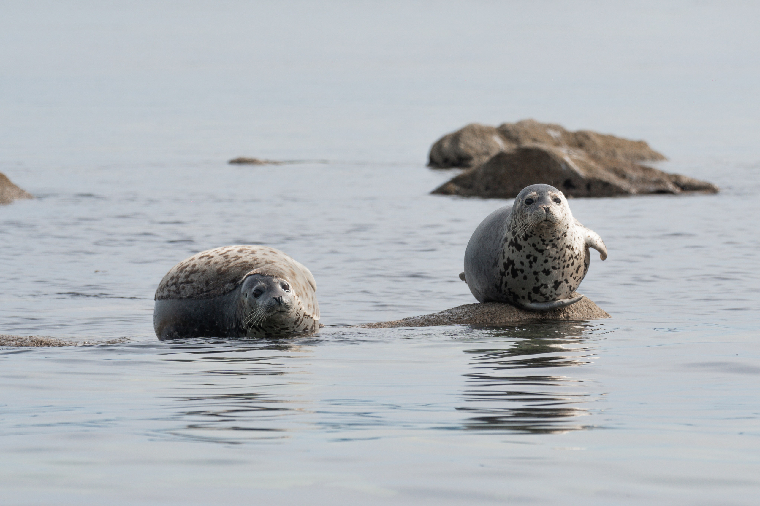 Проекты. Gusarov Travel Photography