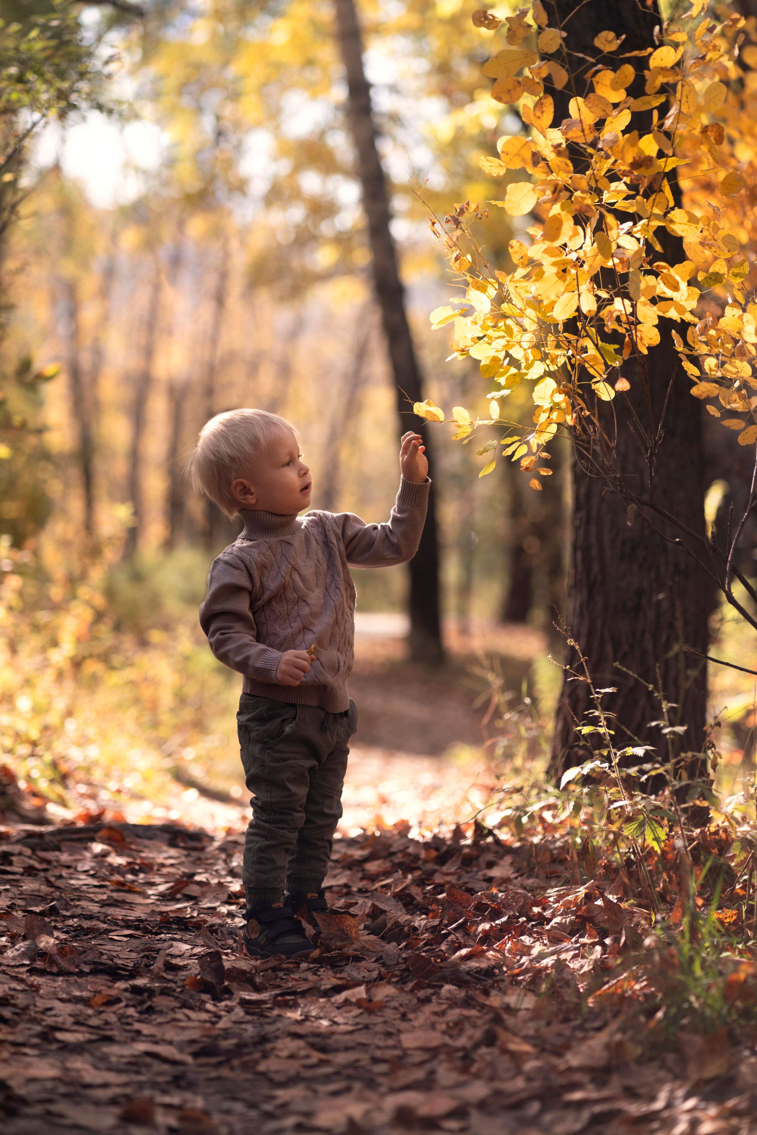 Валерия: День рождение Максима. Семейный и детский фотограф в Хабаровске Ковалева Таисия
