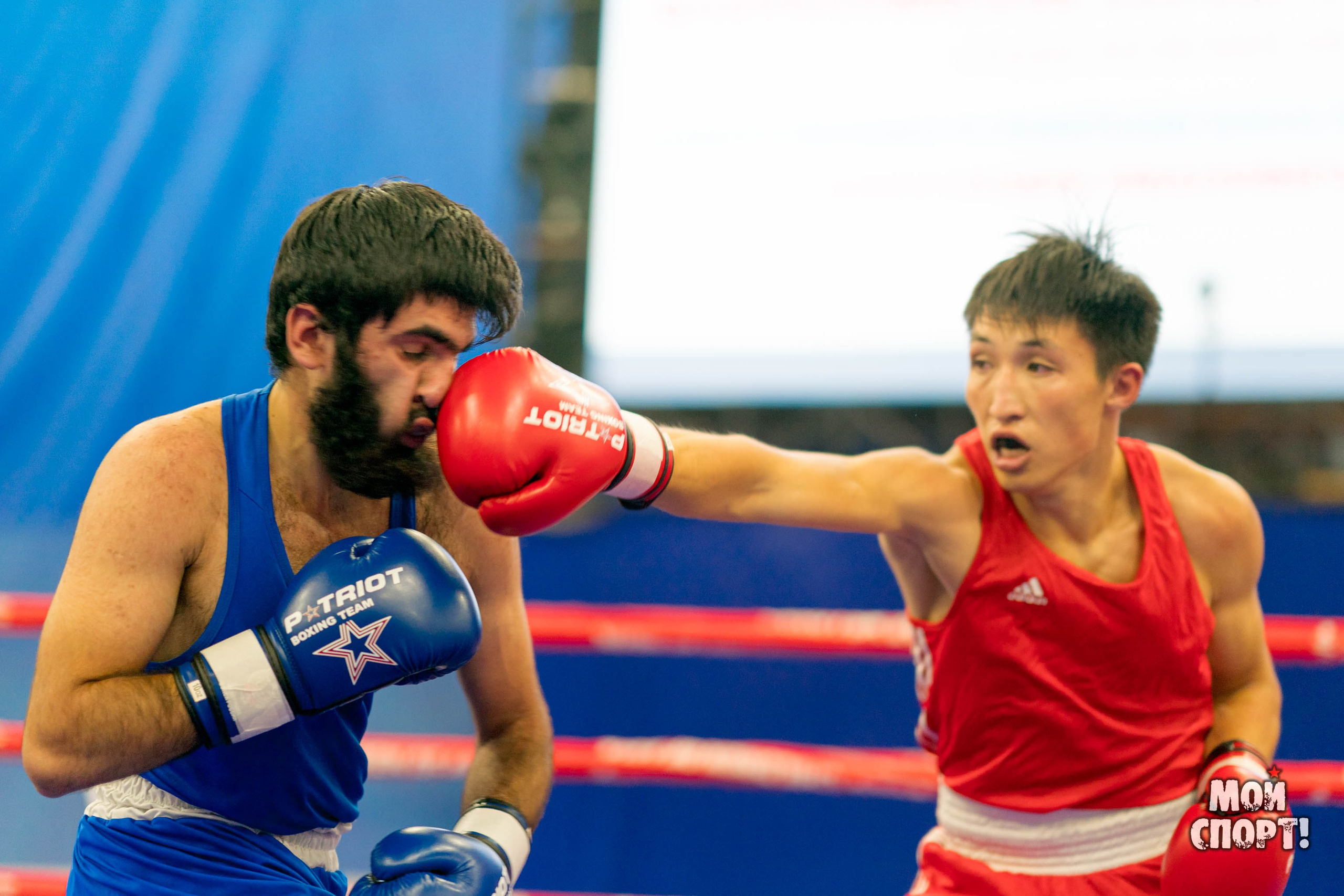 Всероссийский турнир по боксу памяти А. И. Федотова. Студия «Мой Спорт!» — все о спорте в Якутии