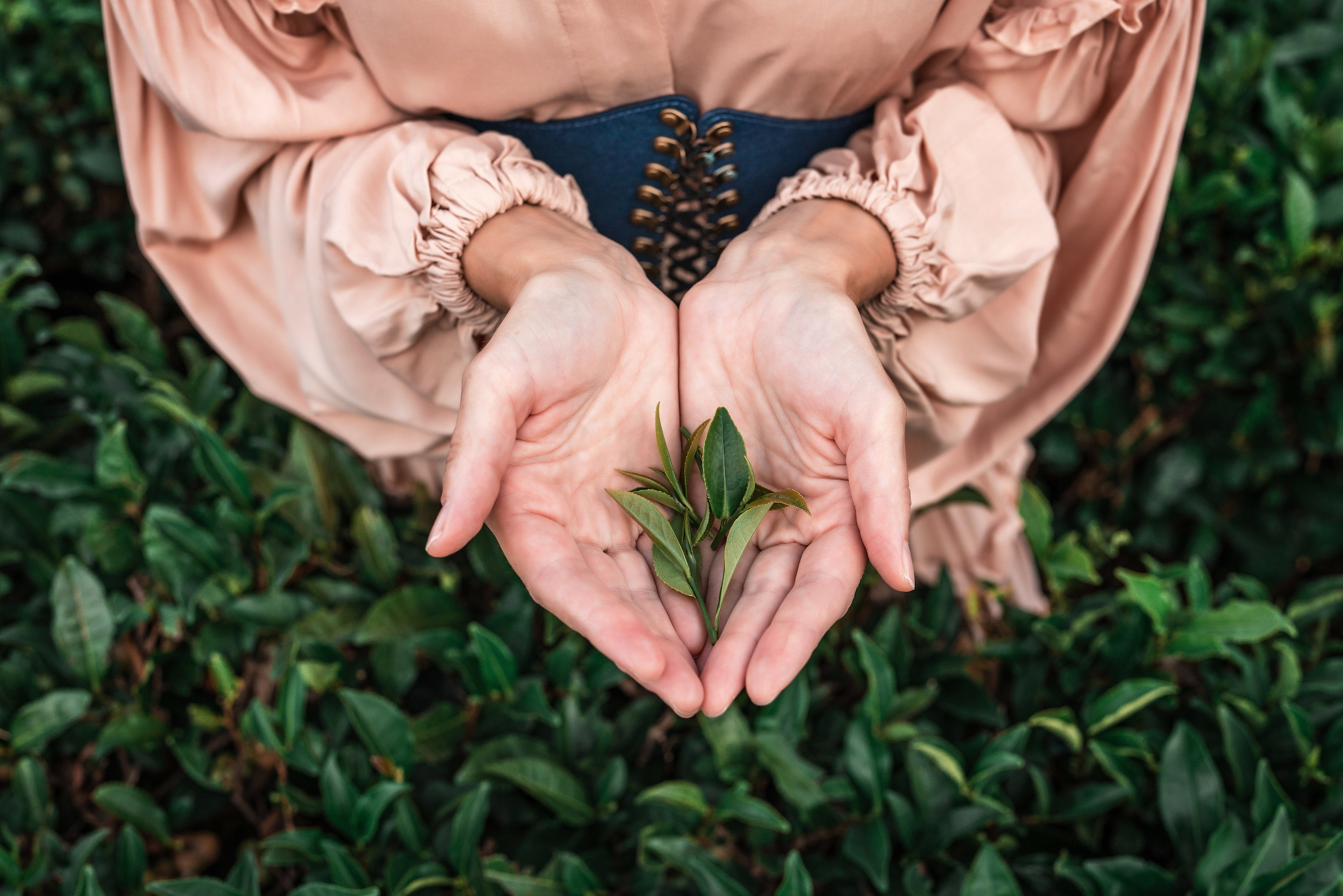 Фотограф Сочи