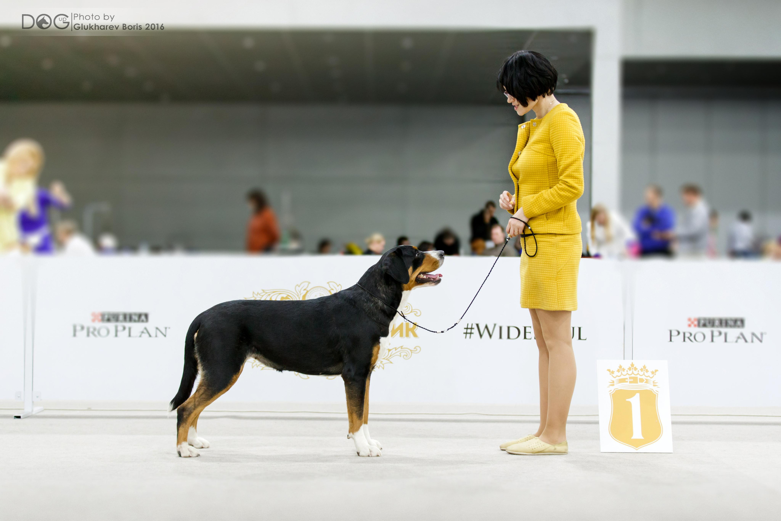 Санбёдс Рябинка Берри