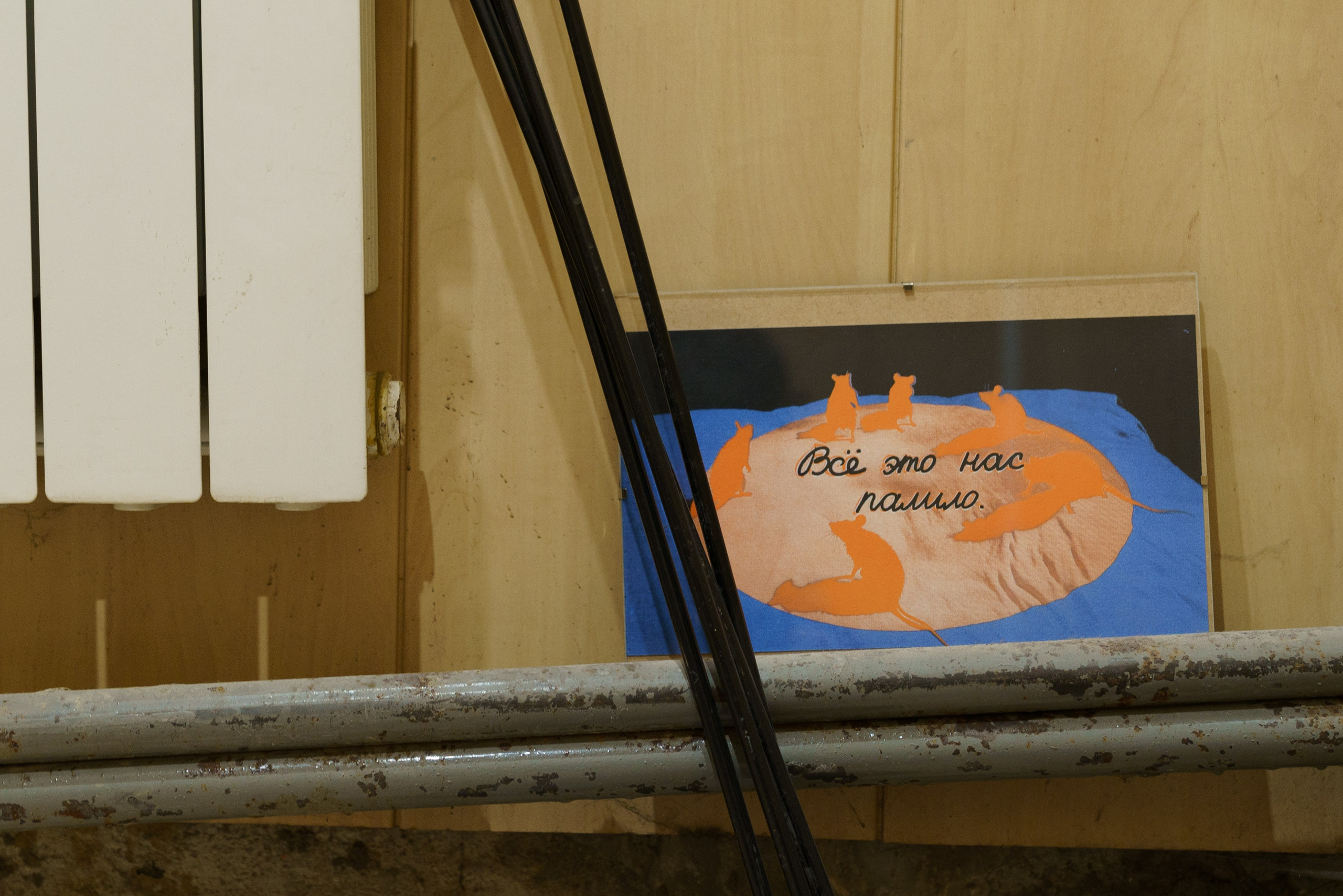 Выставка «Маленький человек» в Нижнем Новгороде. Elena Anosova is an award-winning visual artist