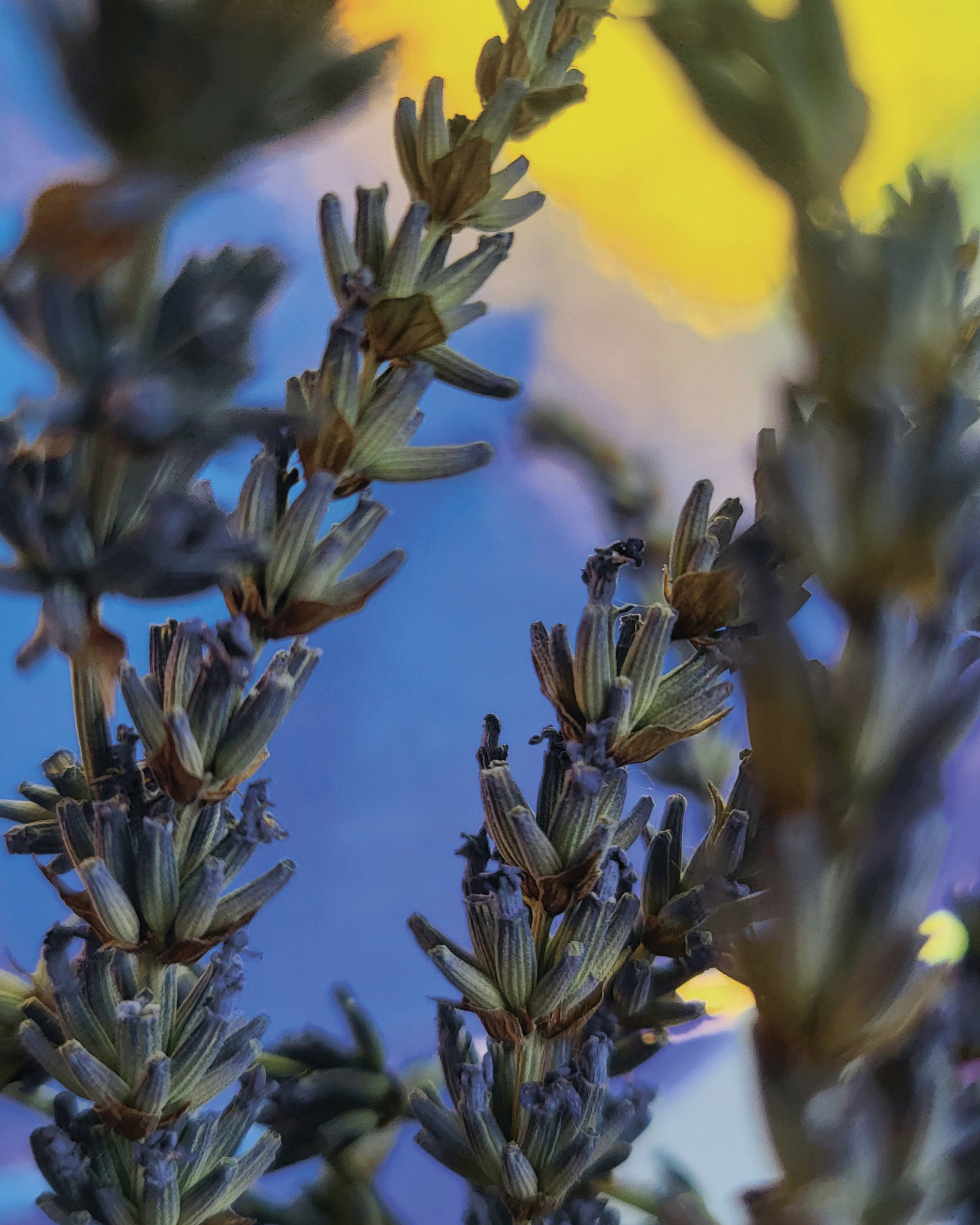 Ростов «Мир в деталях». ARTEXPOPHOTO