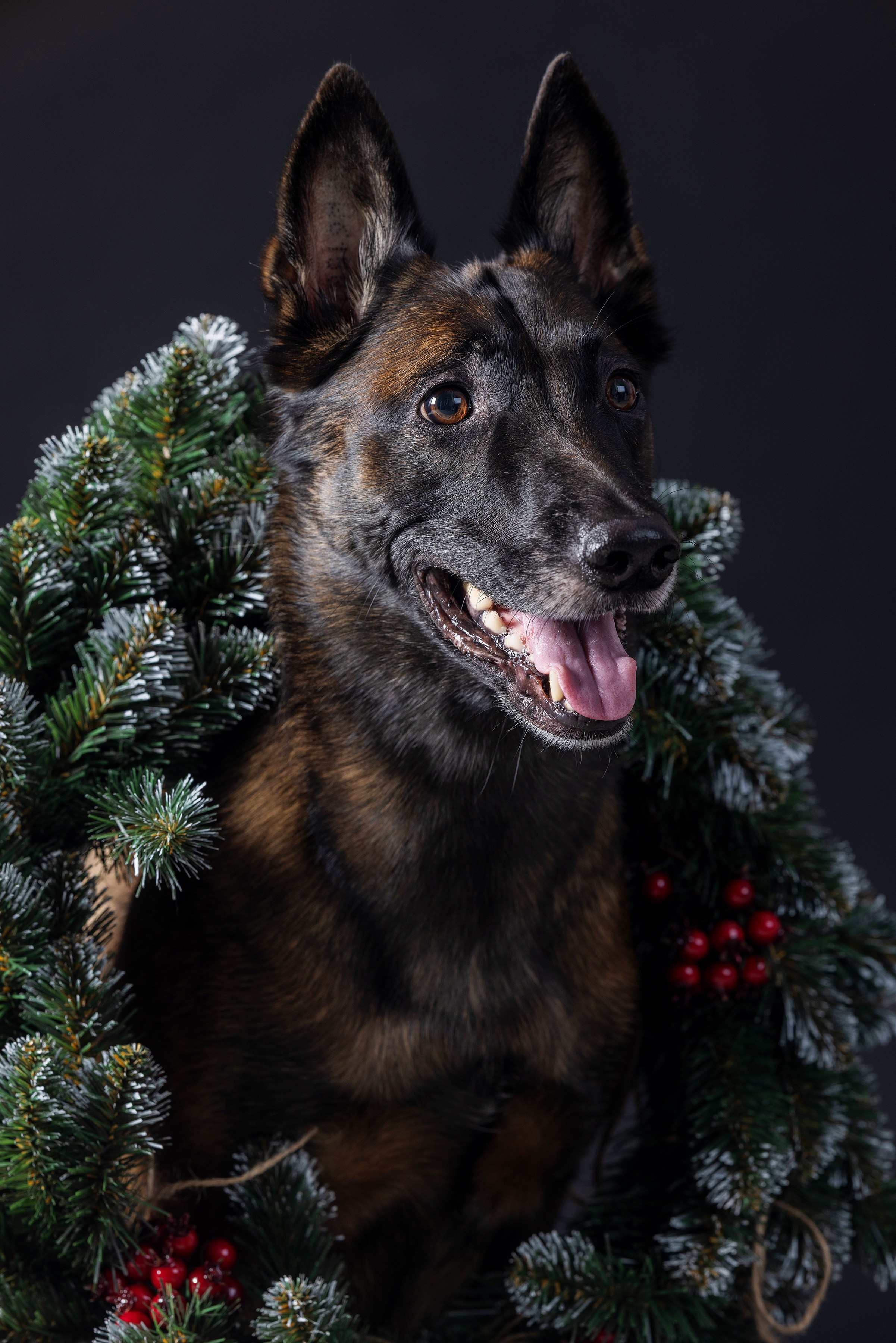 Фотограф Алена Звездина