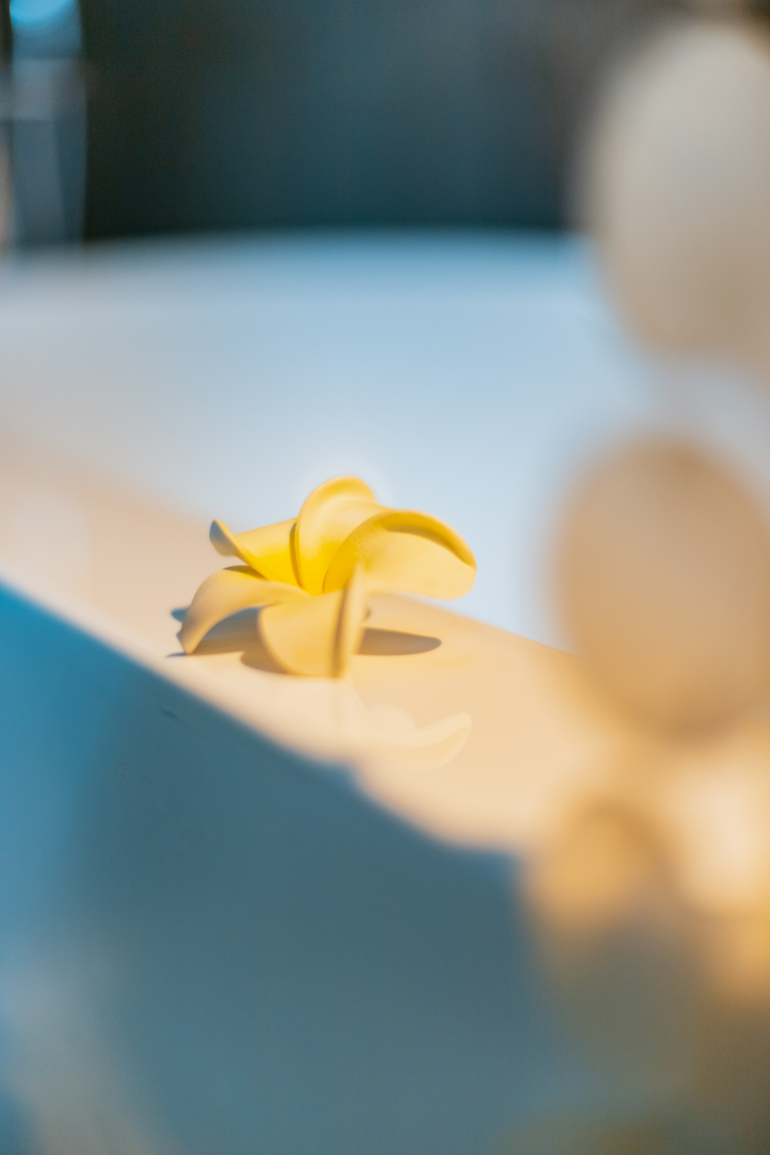 Предметная фотосъёмка. Профессиональный фотограф в Москве и МО