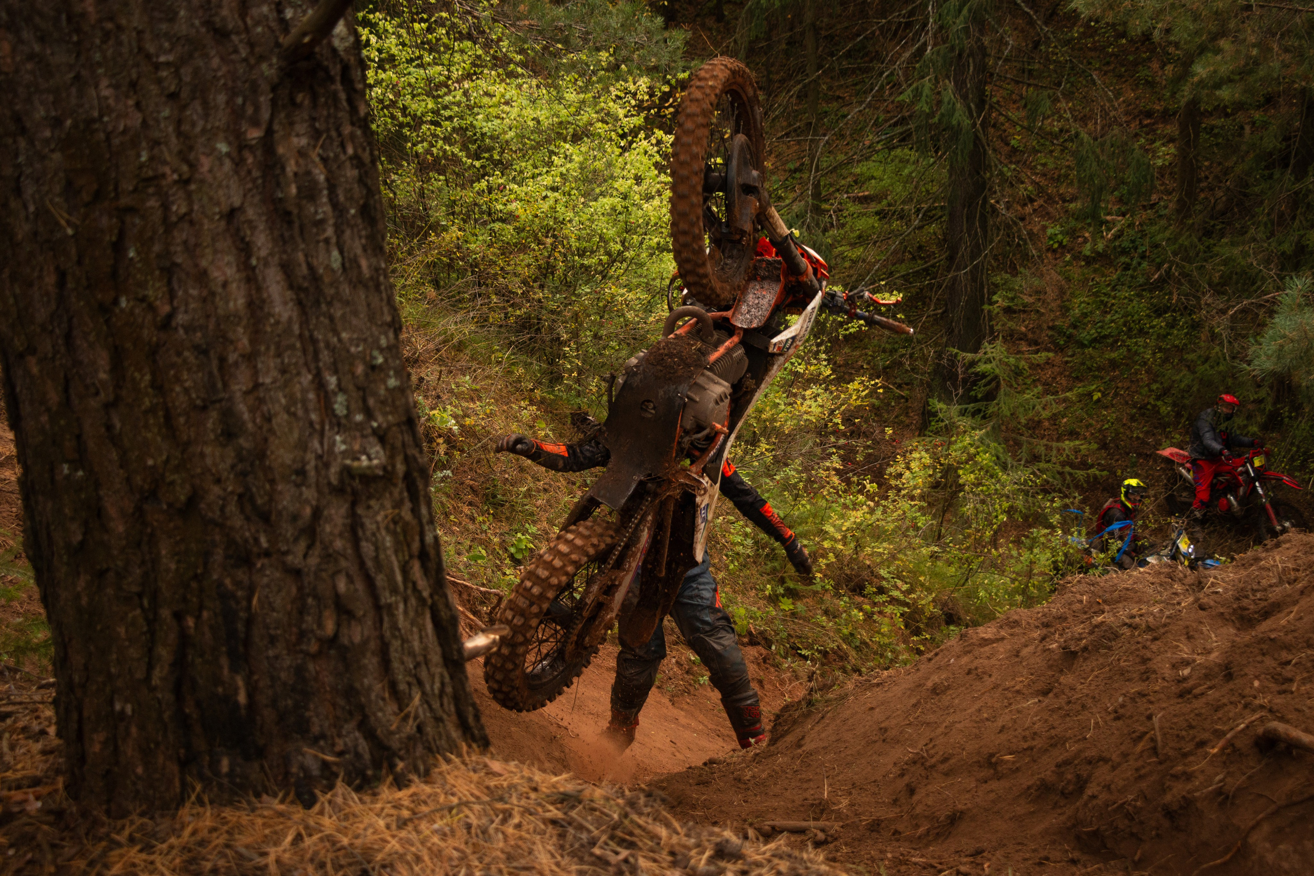 Олег Романов. Мастер фото по спорту