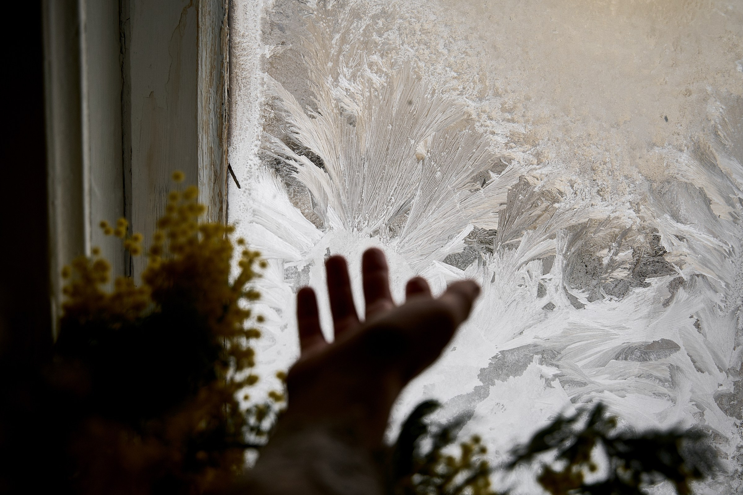 Студийная фотосессия