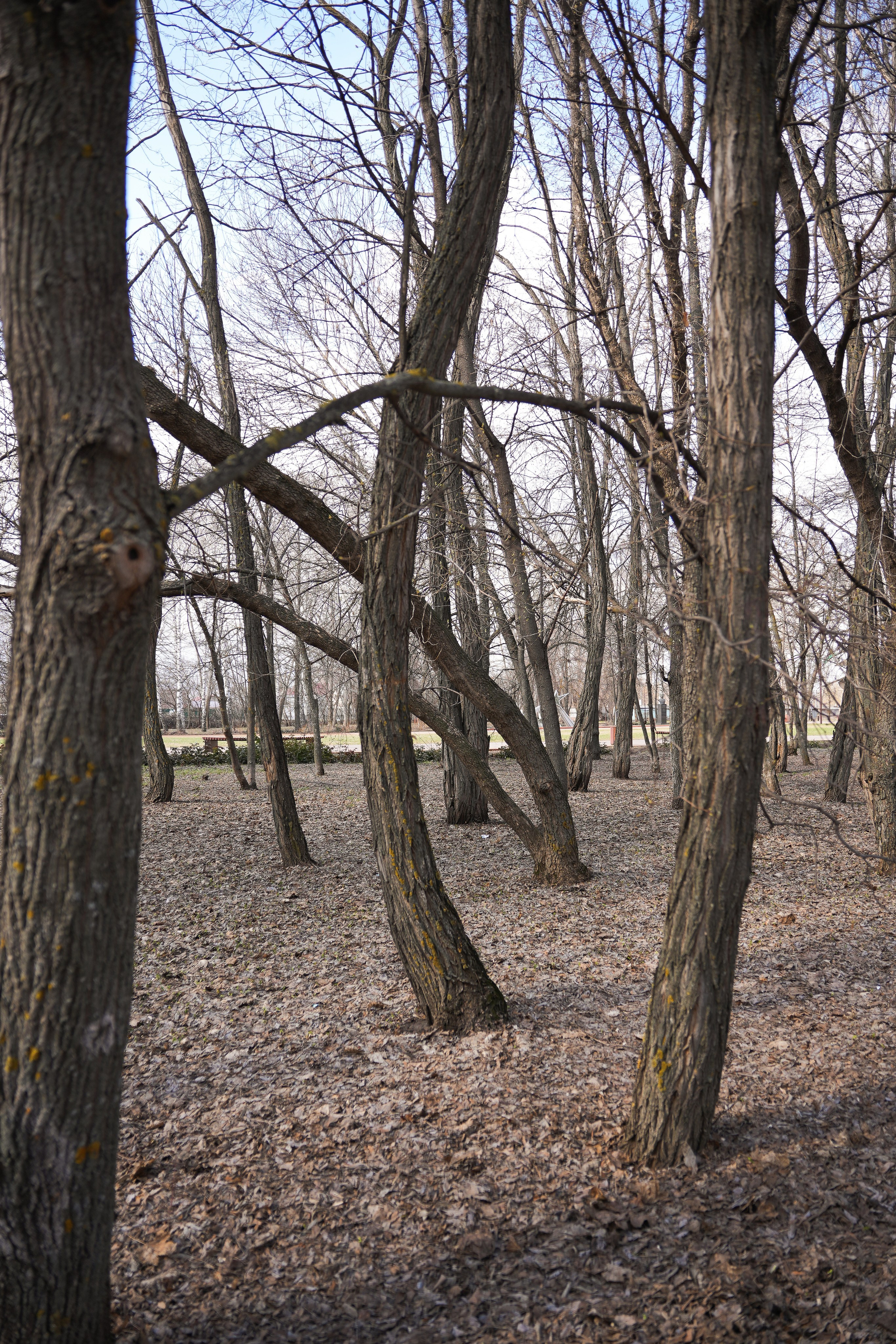 Наследие региона | Отрадный. ИТВИ