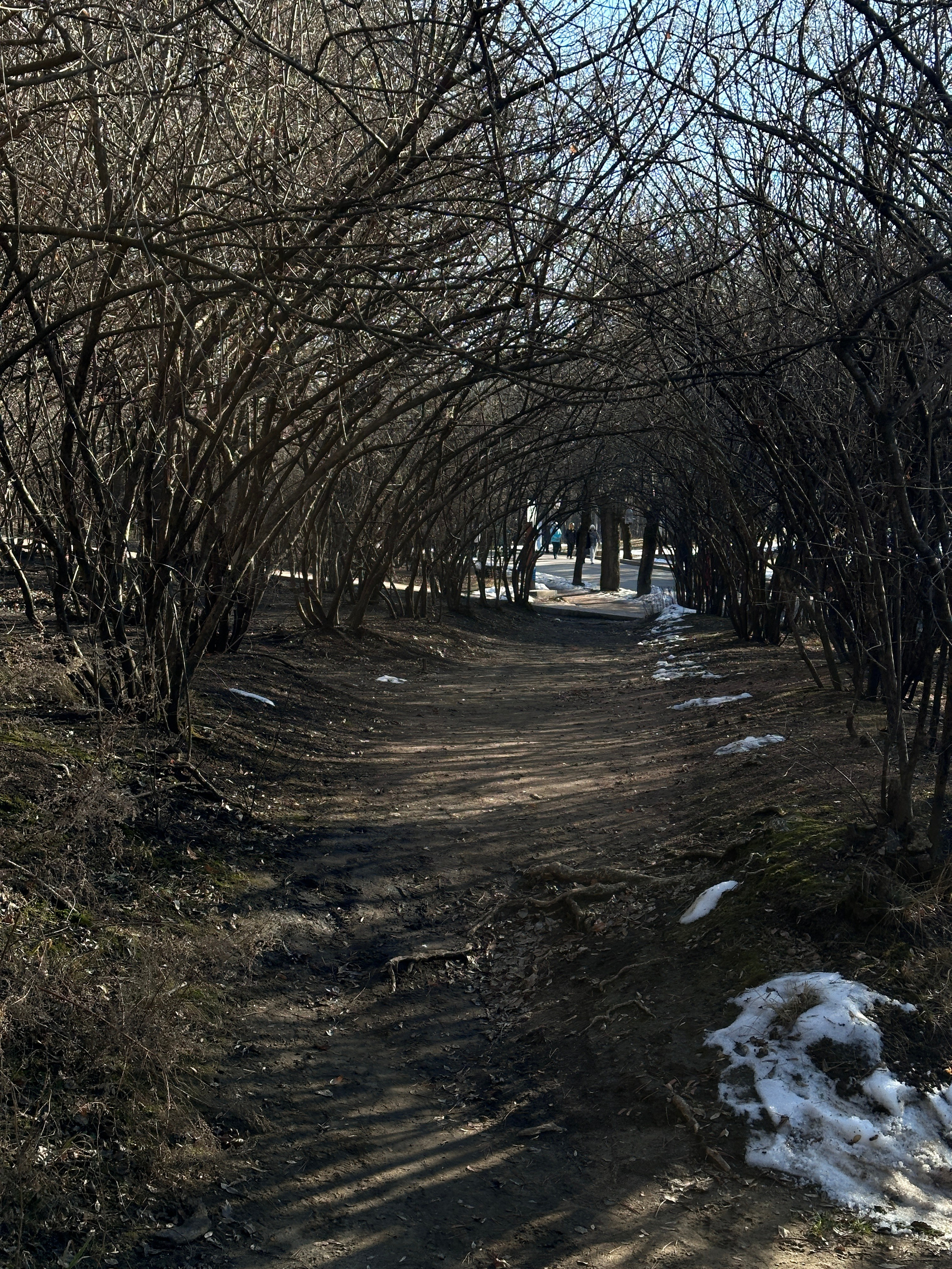 Кисловодск. Смотри, красота!