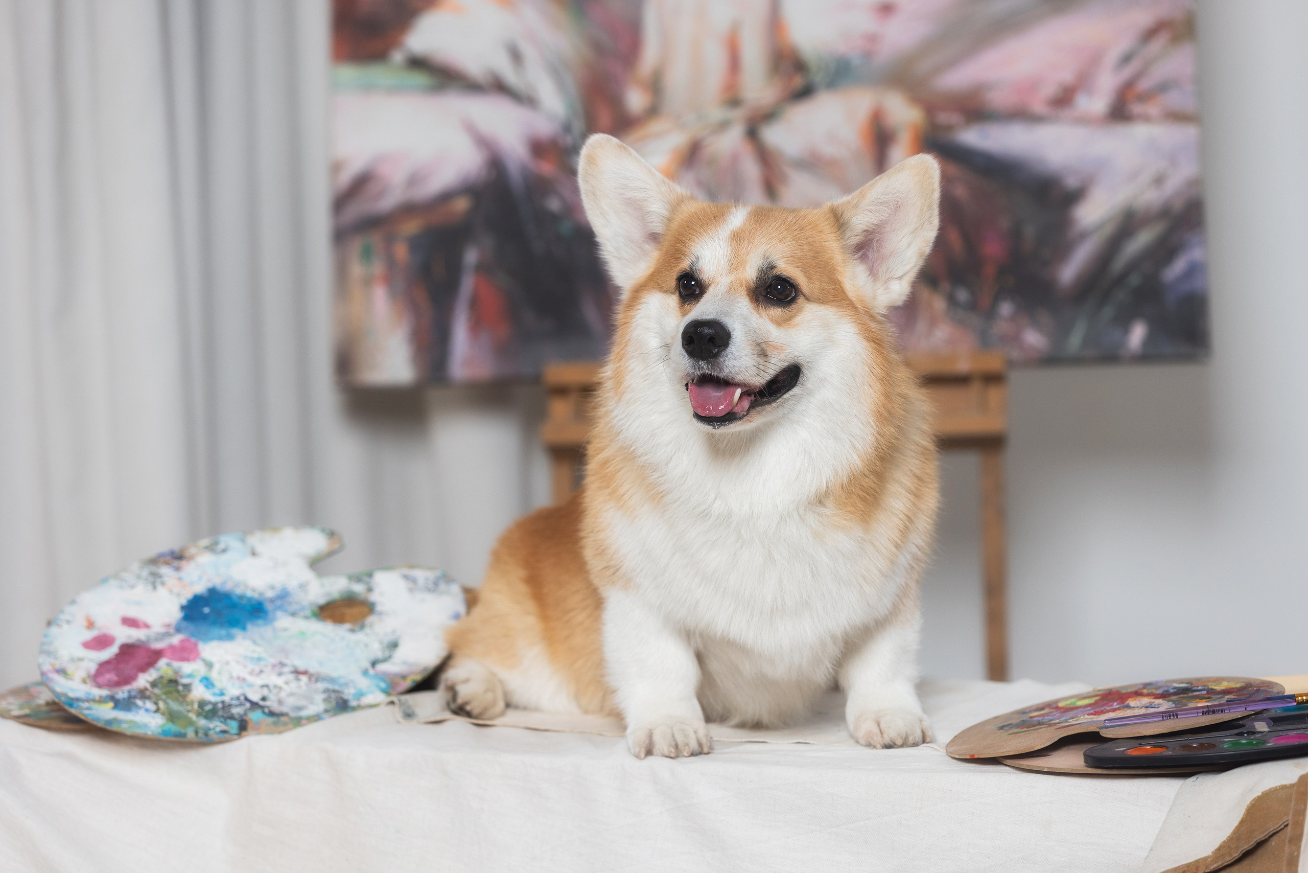 Фотограф Алена Звездина