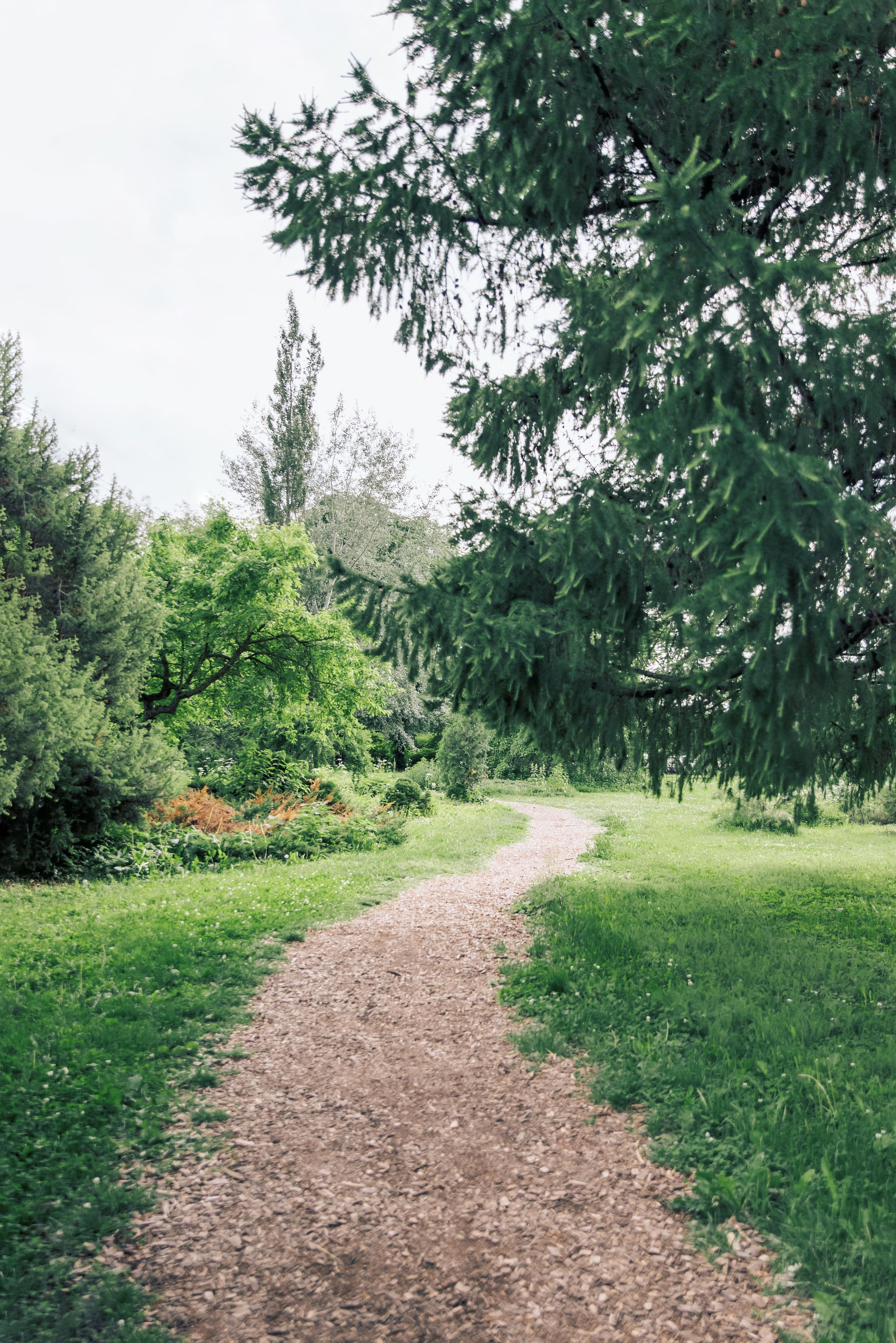 Парк БОТАНИЧЕСКИЙ САД обзор. Фотограф в Москве и Московской области (Ю-В) Олеся Макарова