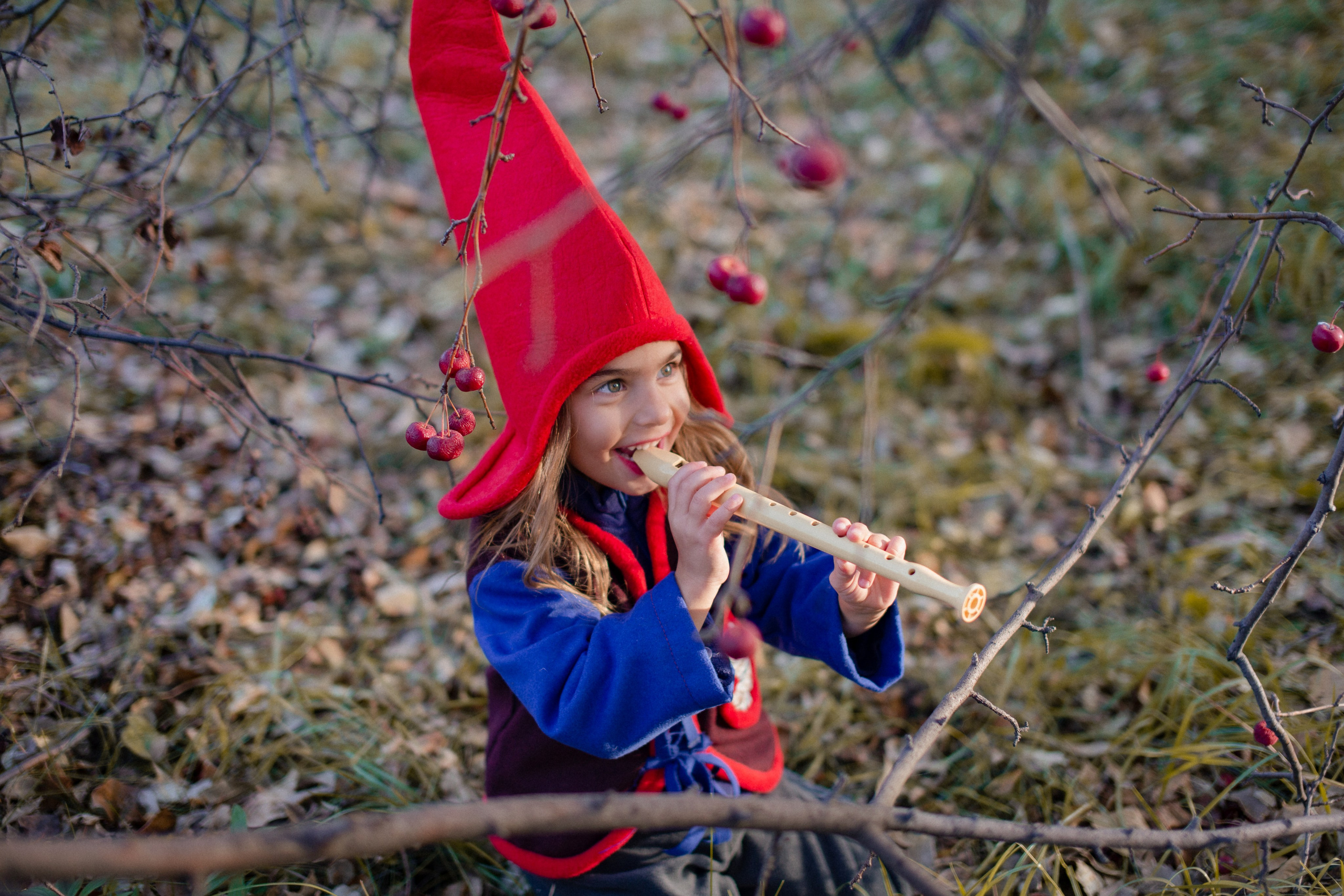 Лесные гномы