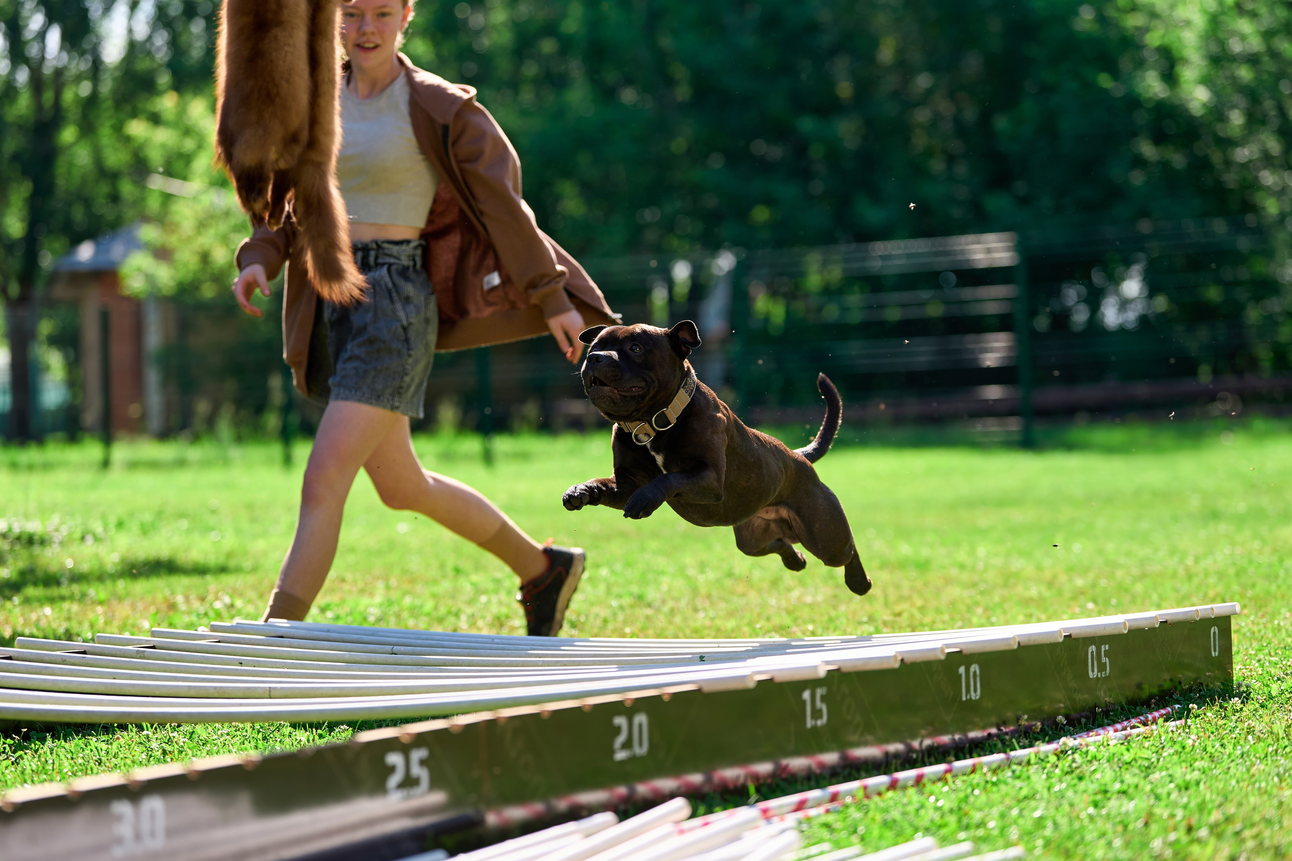 Двухдневные соревнования «Jump'n'Gym Fest — 2024». Фотограф-анималист Михаил Манухин