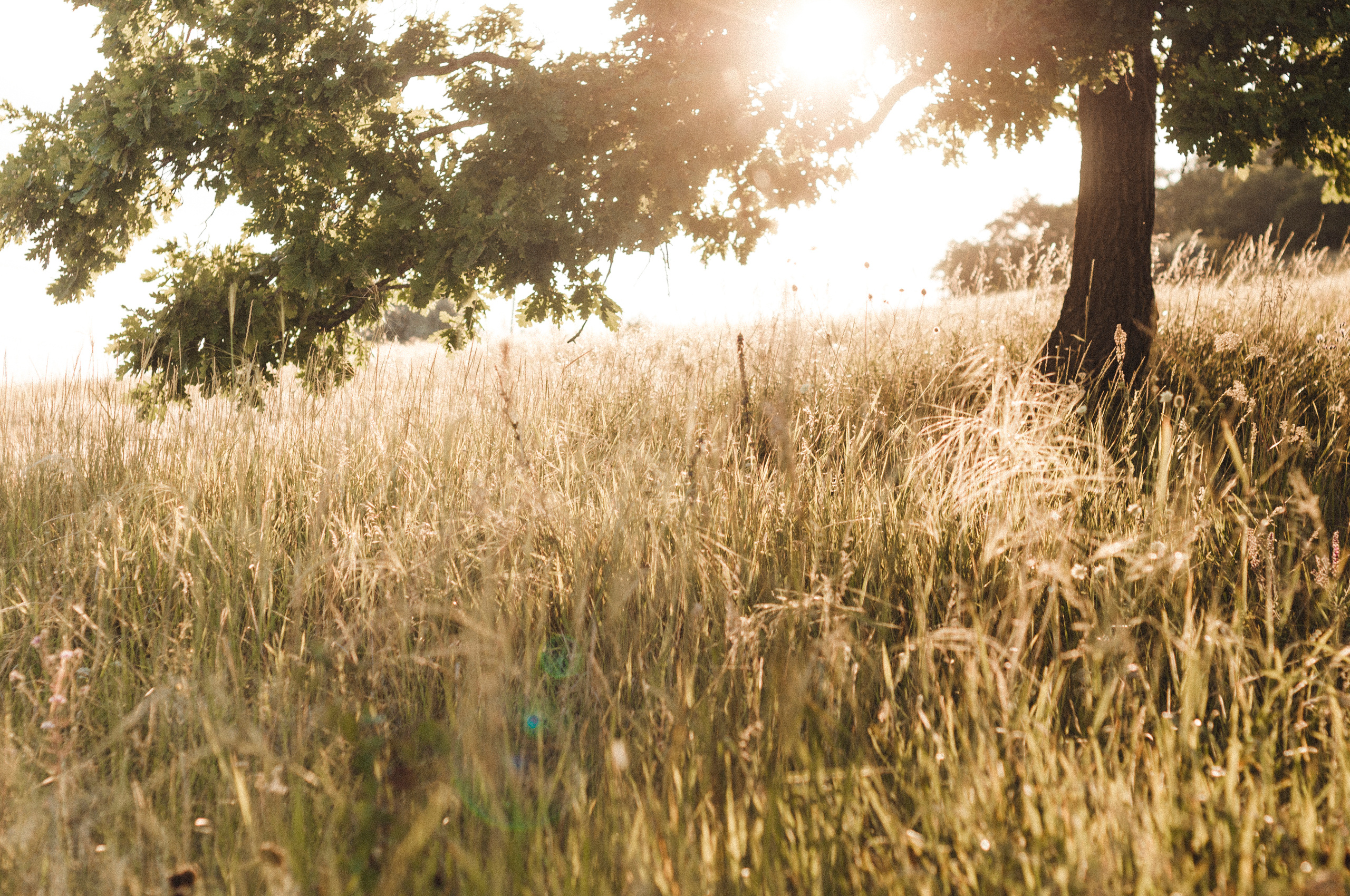 Дима, Маша, Данила и Алёна. Фотограф Катерина Тюрина. Саратов