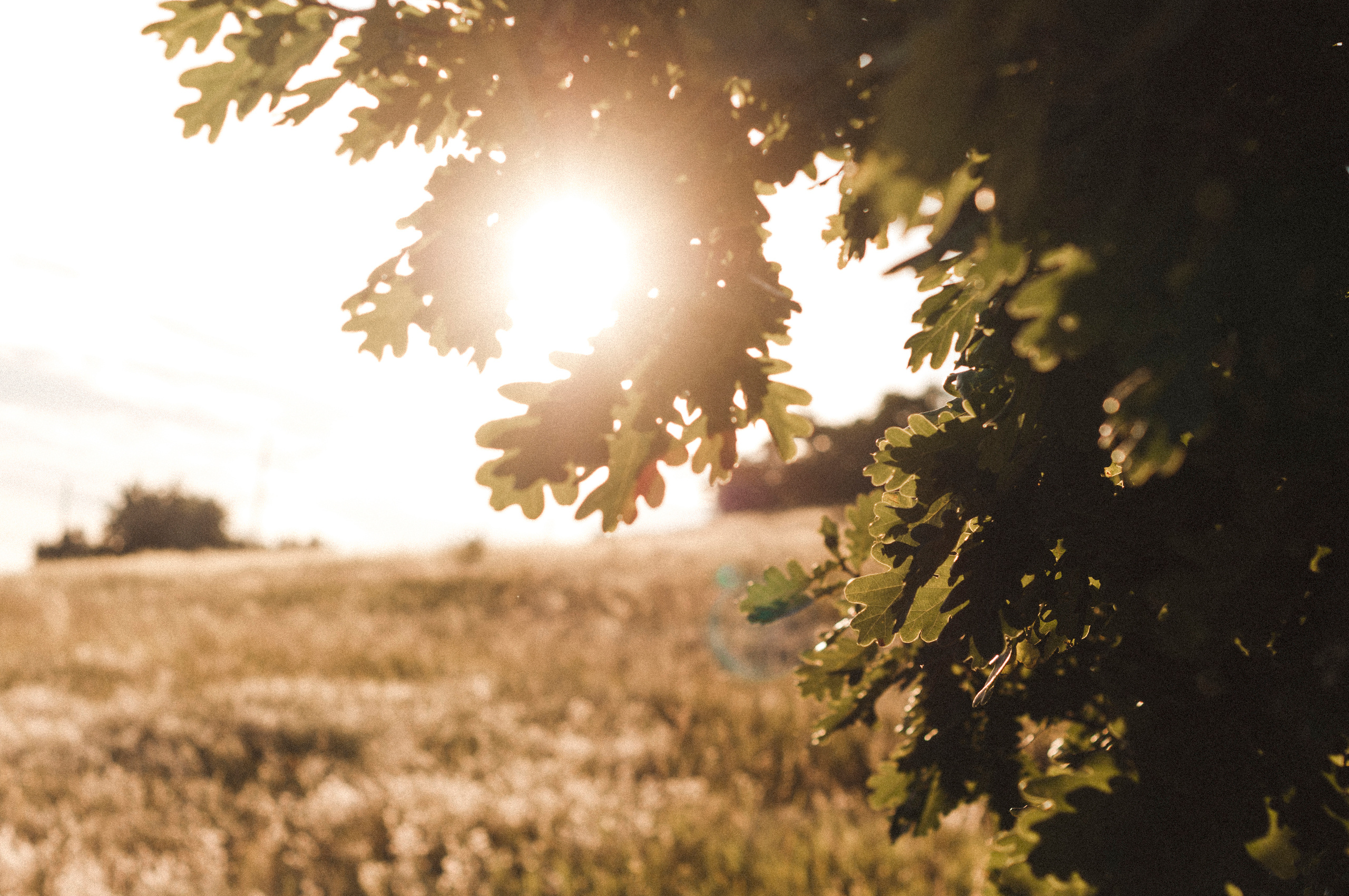 Дима, Маша, Данила и Алёна. Фотограф Катерина Тюрина. Саратов