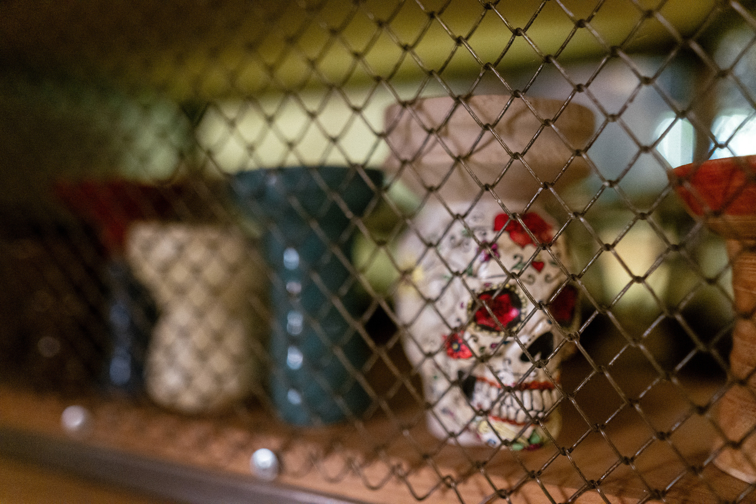 Мы Мулануровы. Фотограф Томск, Новосибирск Влад Свириденко