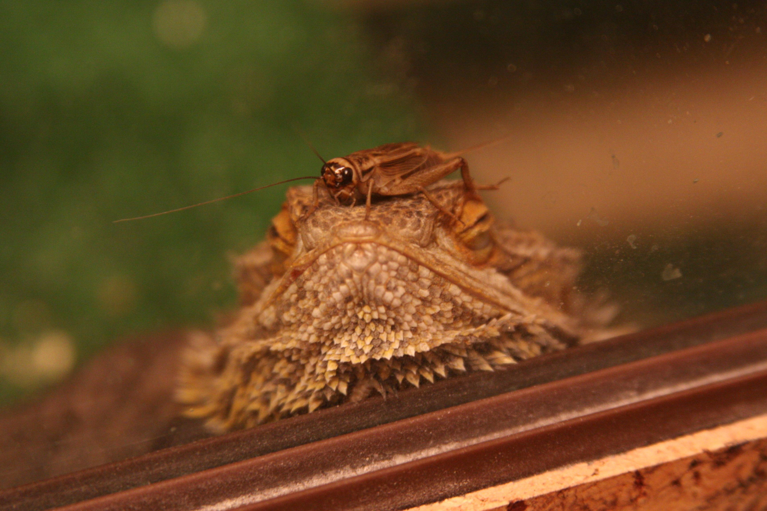 Матвей Лебедев: фото и видео, сайты. Москва, Жуковский, Малаховка