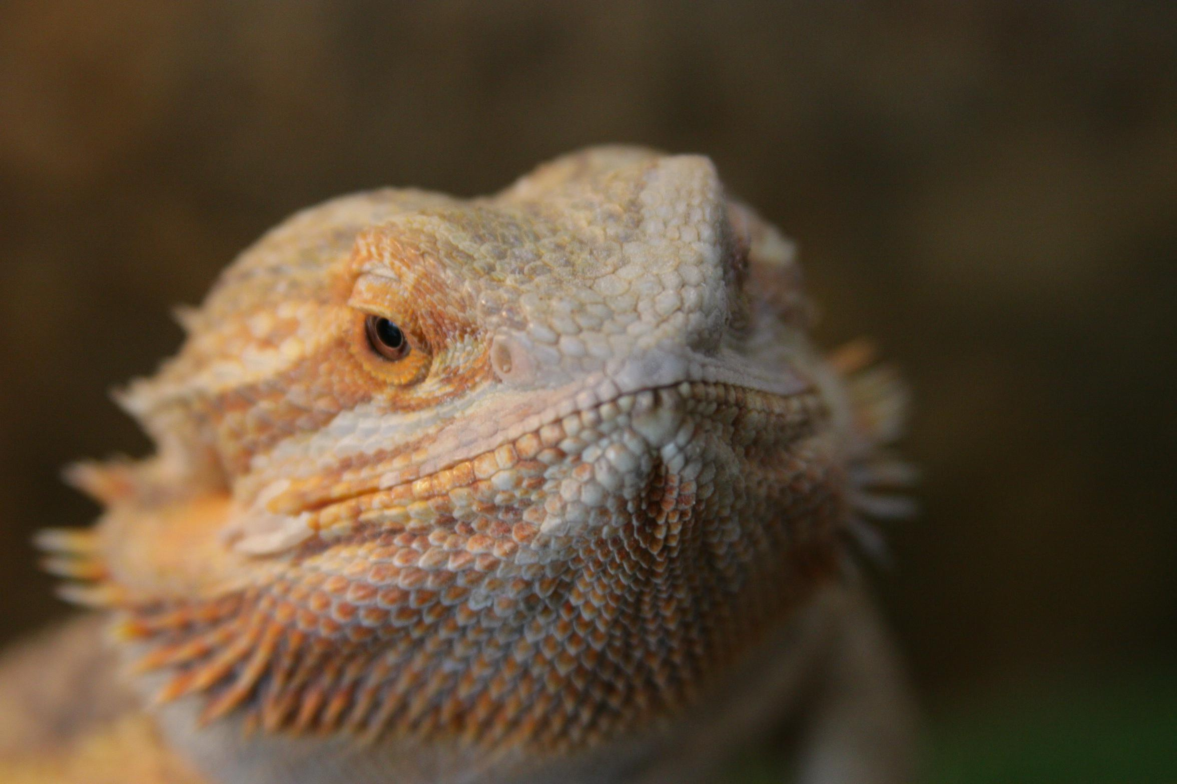 Матвей Лебедев: фото и видео, сайты. Москва, Жуковский, Малаховка