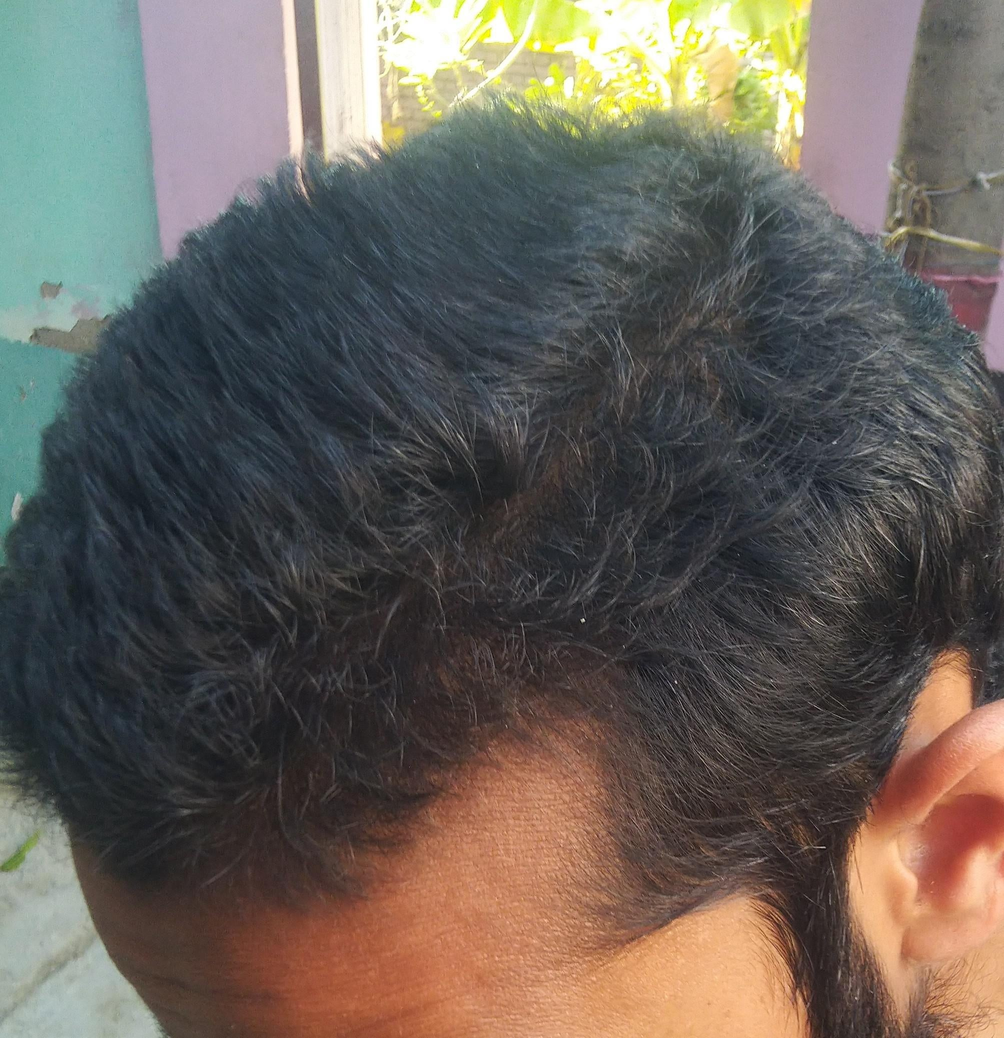 THE CACTUS EFFECT 10/10