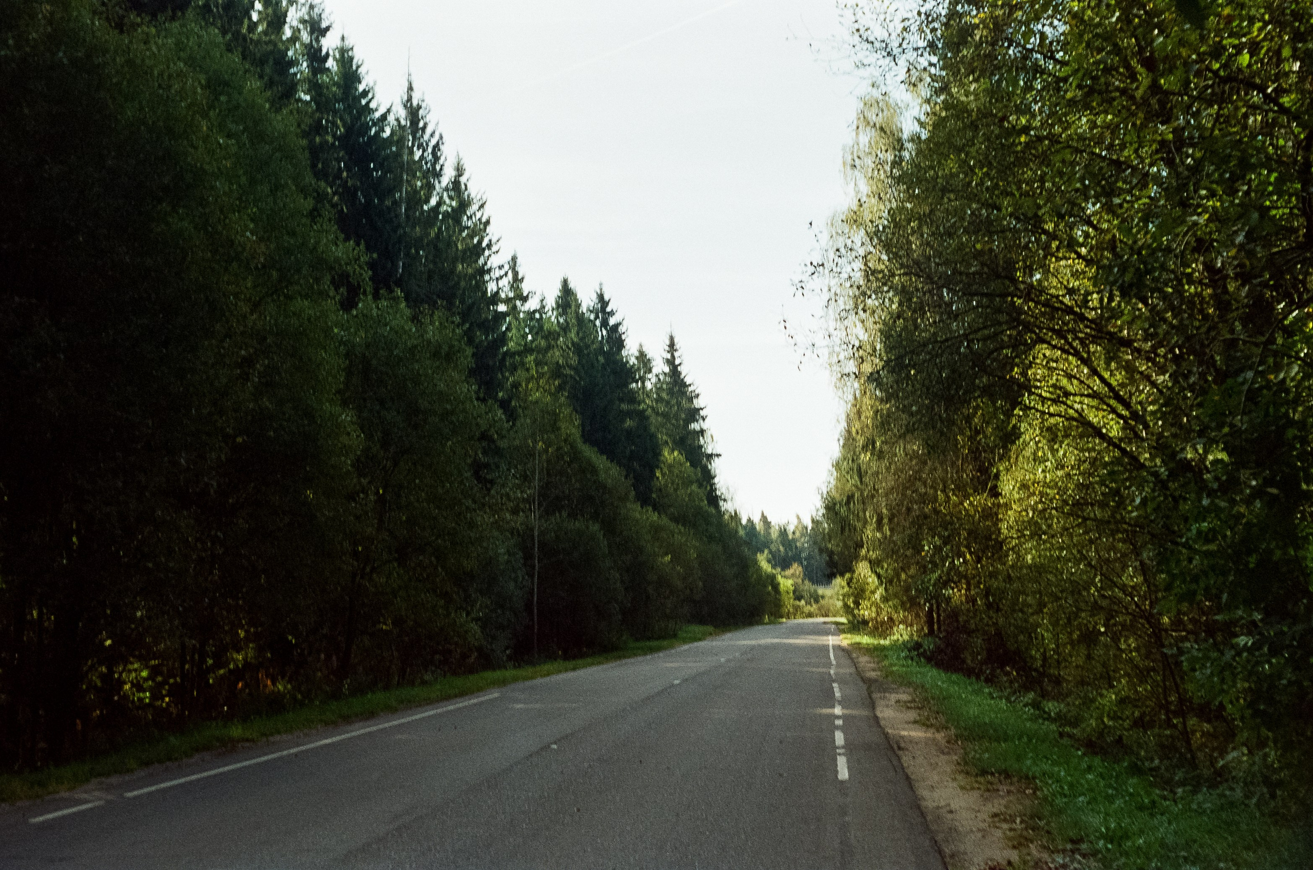 Voigtlander Vitessa / Color-Skopar 50 mm f/3.5 / Kodak Gold 100 (просрочка)